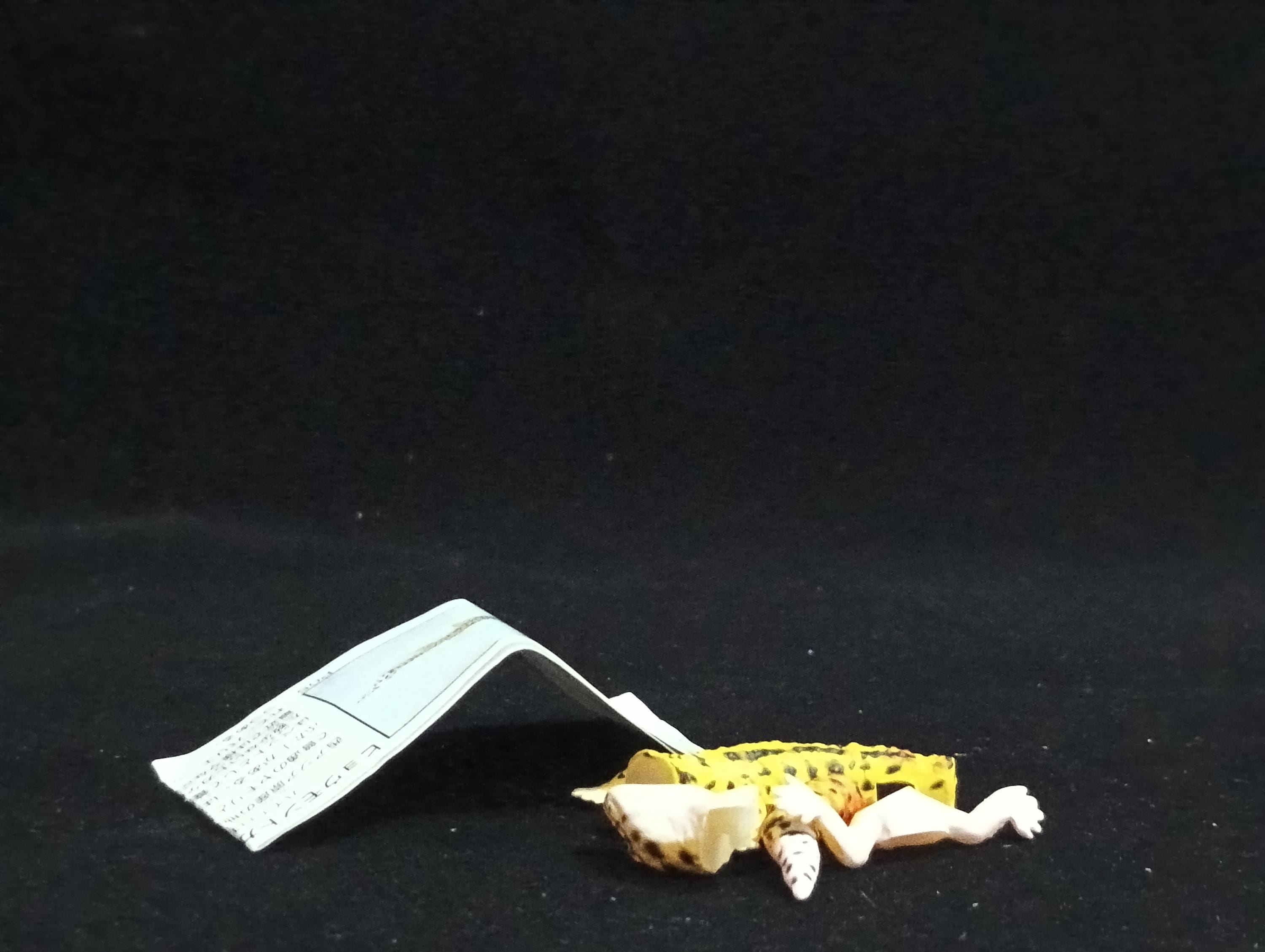 Miniature Leopard Gecko Figurine - Furuta
