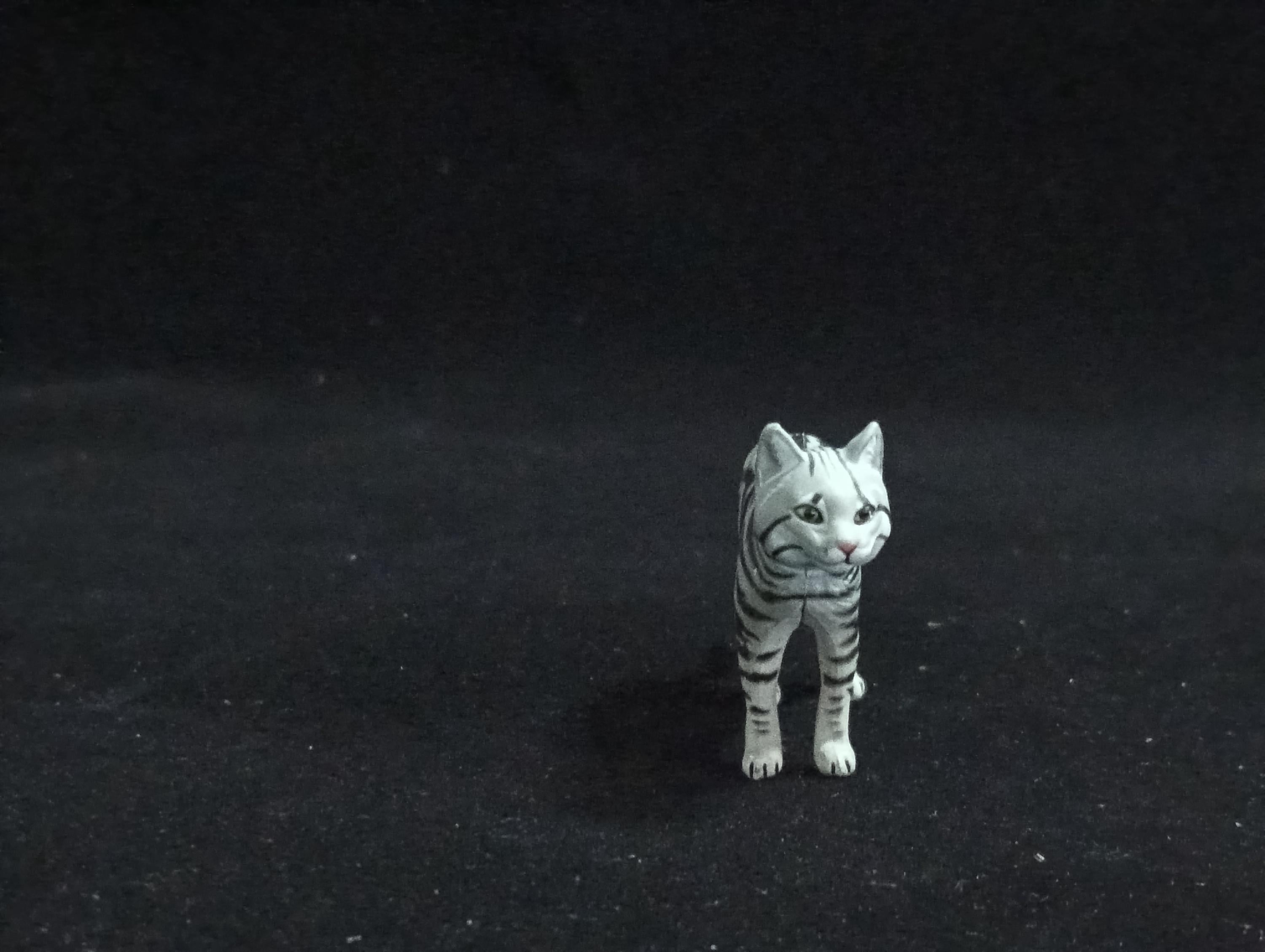 Miniature American Shorthair cat Figurine - Furuta