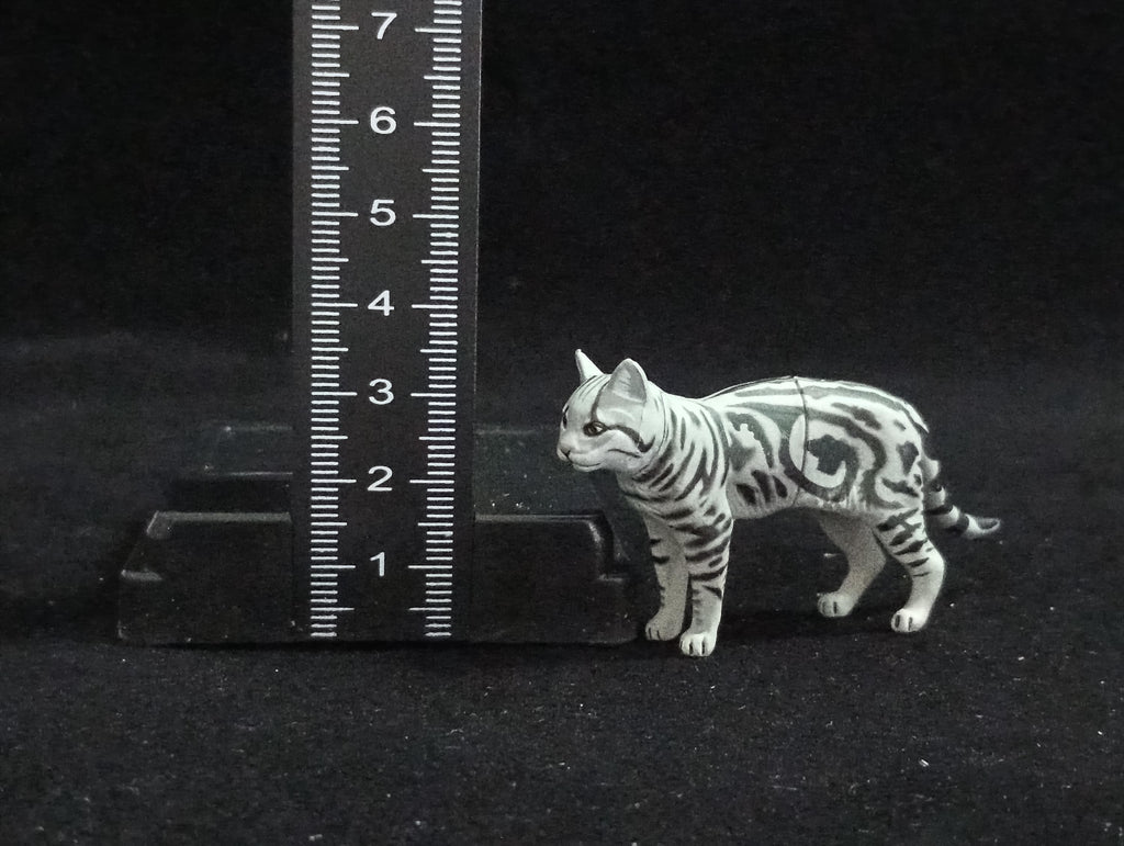 Miniature American Shorthair cat Figurine - Furuta