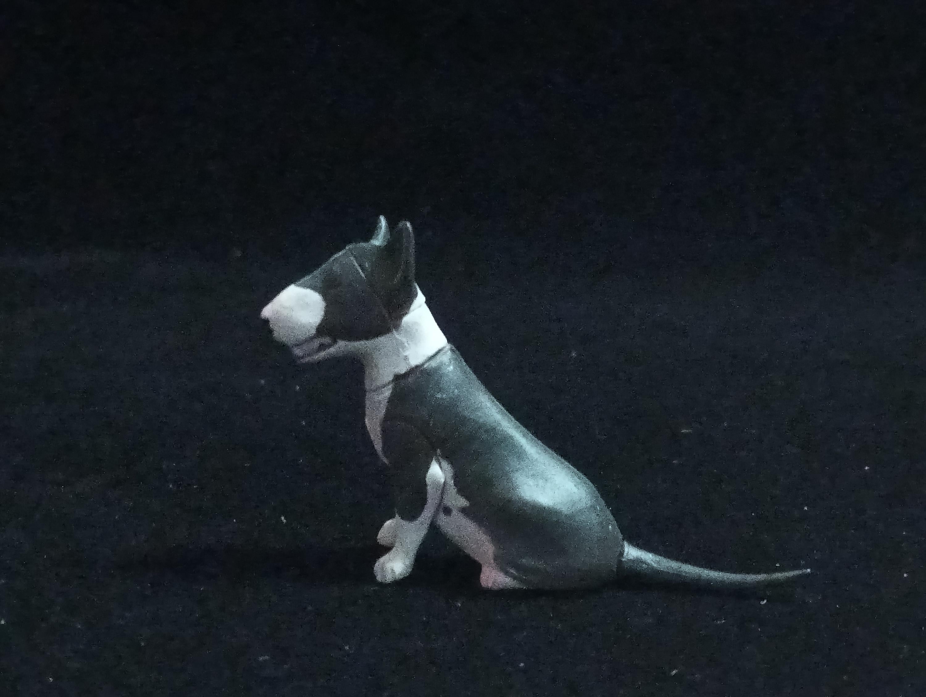 Miniature Bull Terrier(Black-White) Figurine - Furuta