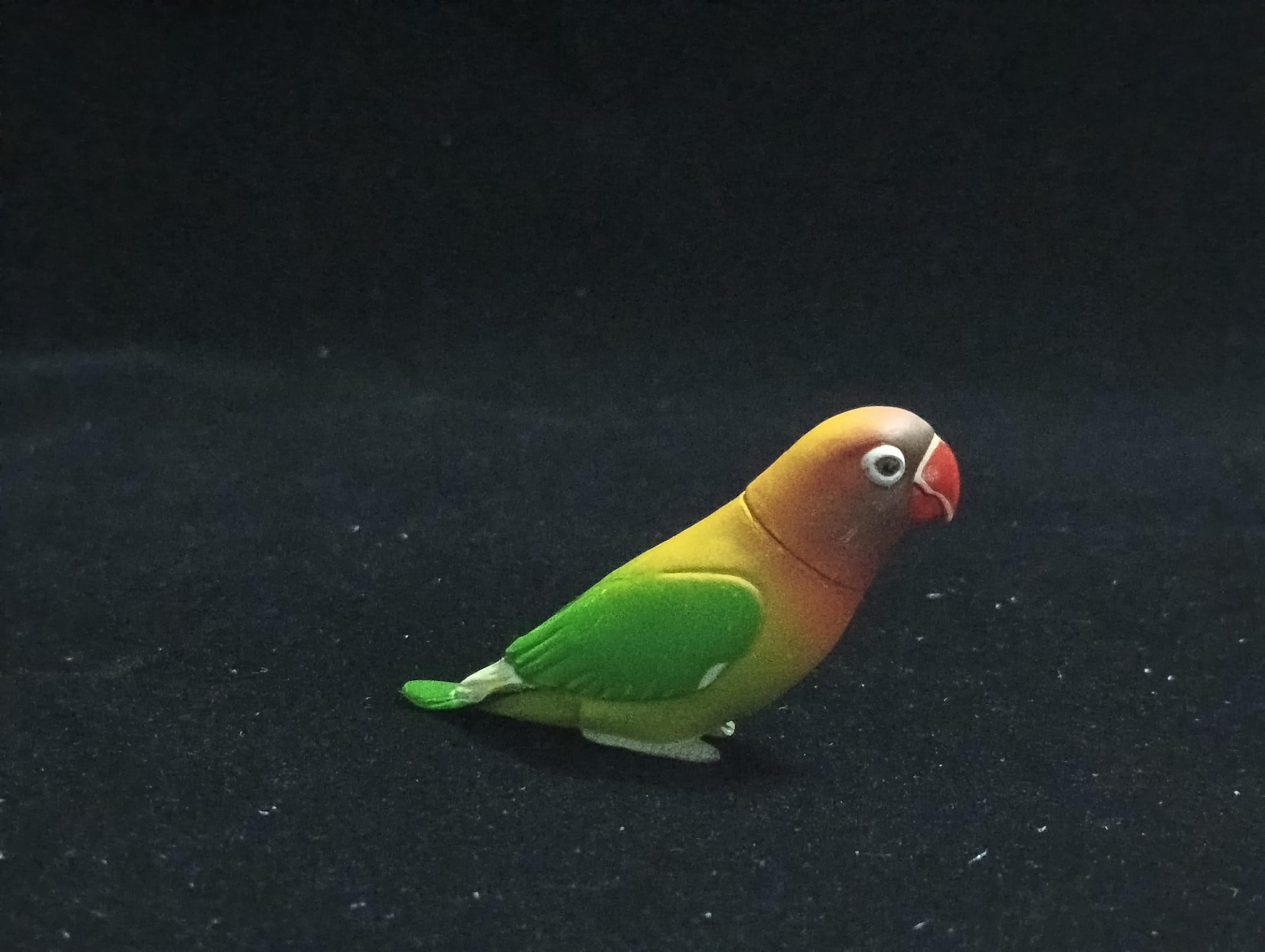 Miniature Agapornis lilianae Figurine - Furuta