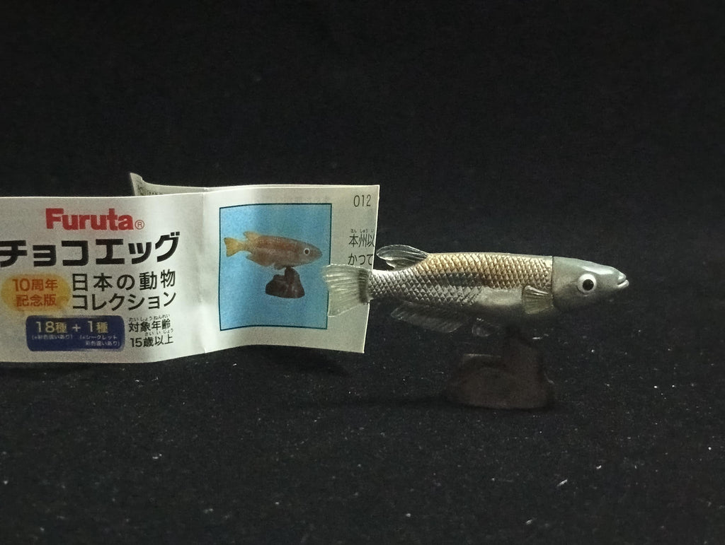 Miniature Western Honshu killifish (medaka) Figurine - Furuta
