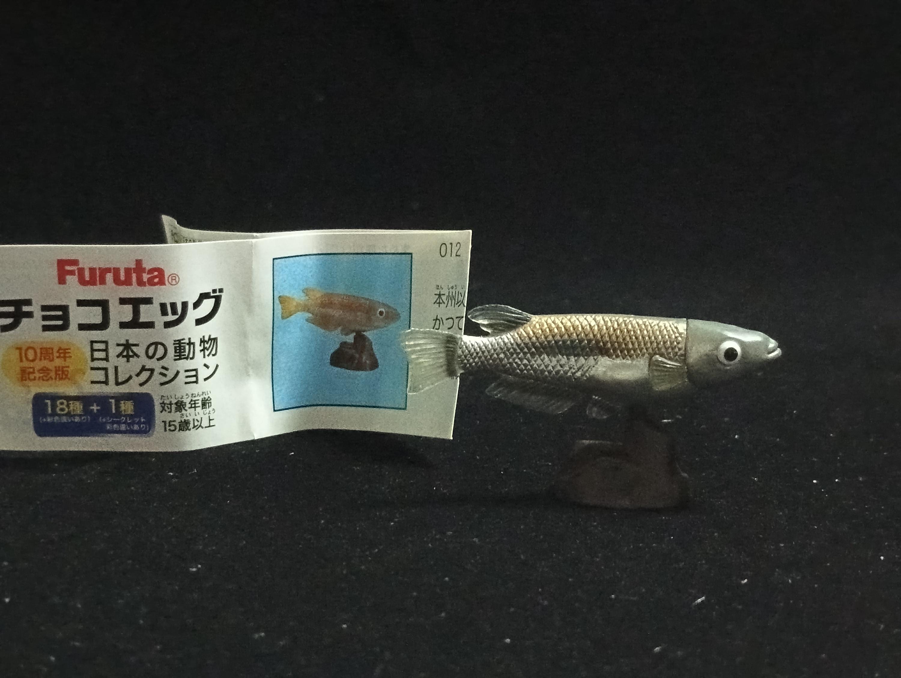 Miniature Western Honshu killifish (medaka) Figurine - Furuta