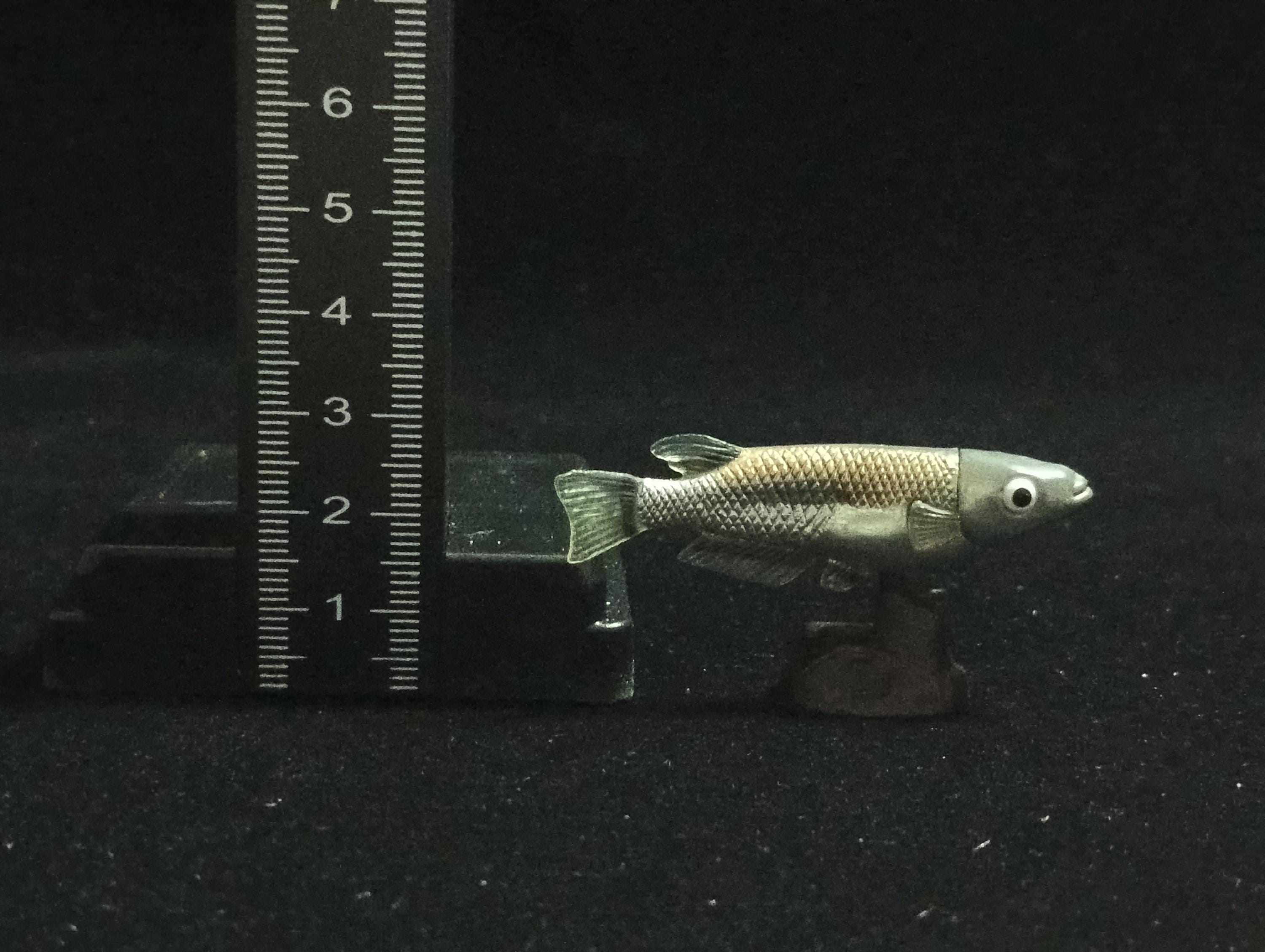Miniature Western Honshu killifish (medaka) Figurine - Furuta