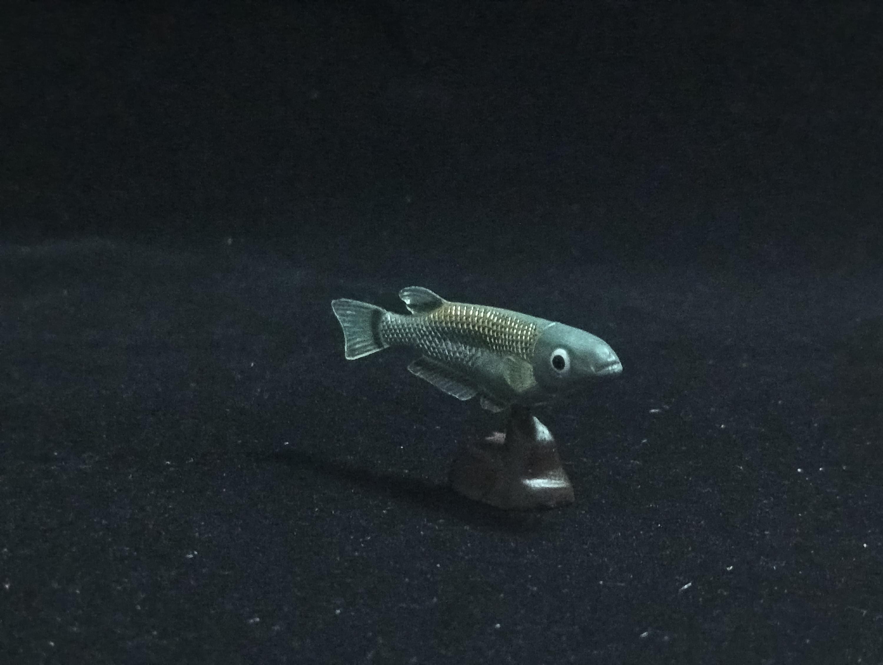 Miniature Western Honshu killifish (medaka) Figurine - Furuta