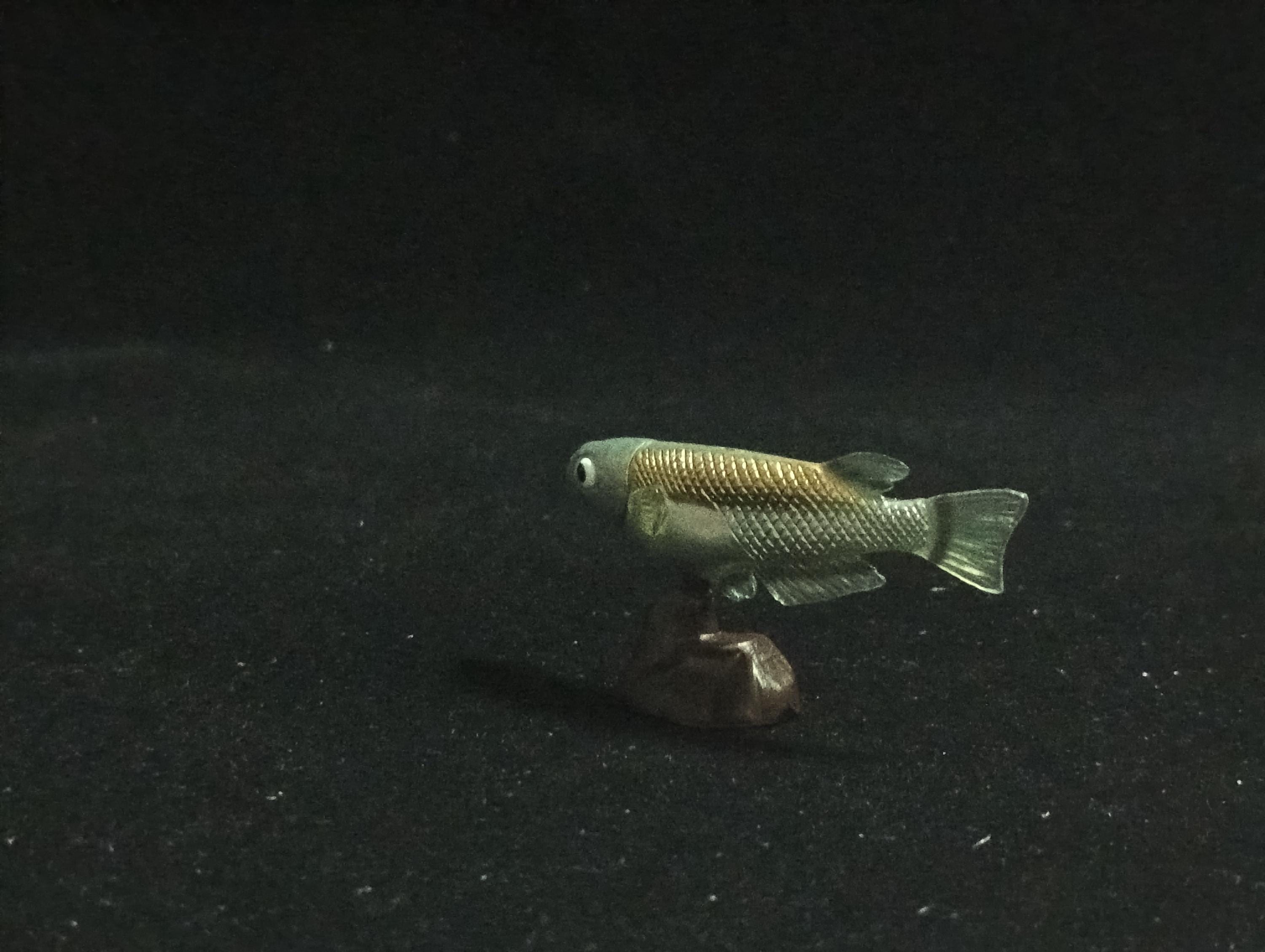 Miniature Western Honshu killifish (medaka) Figurine - Furuta