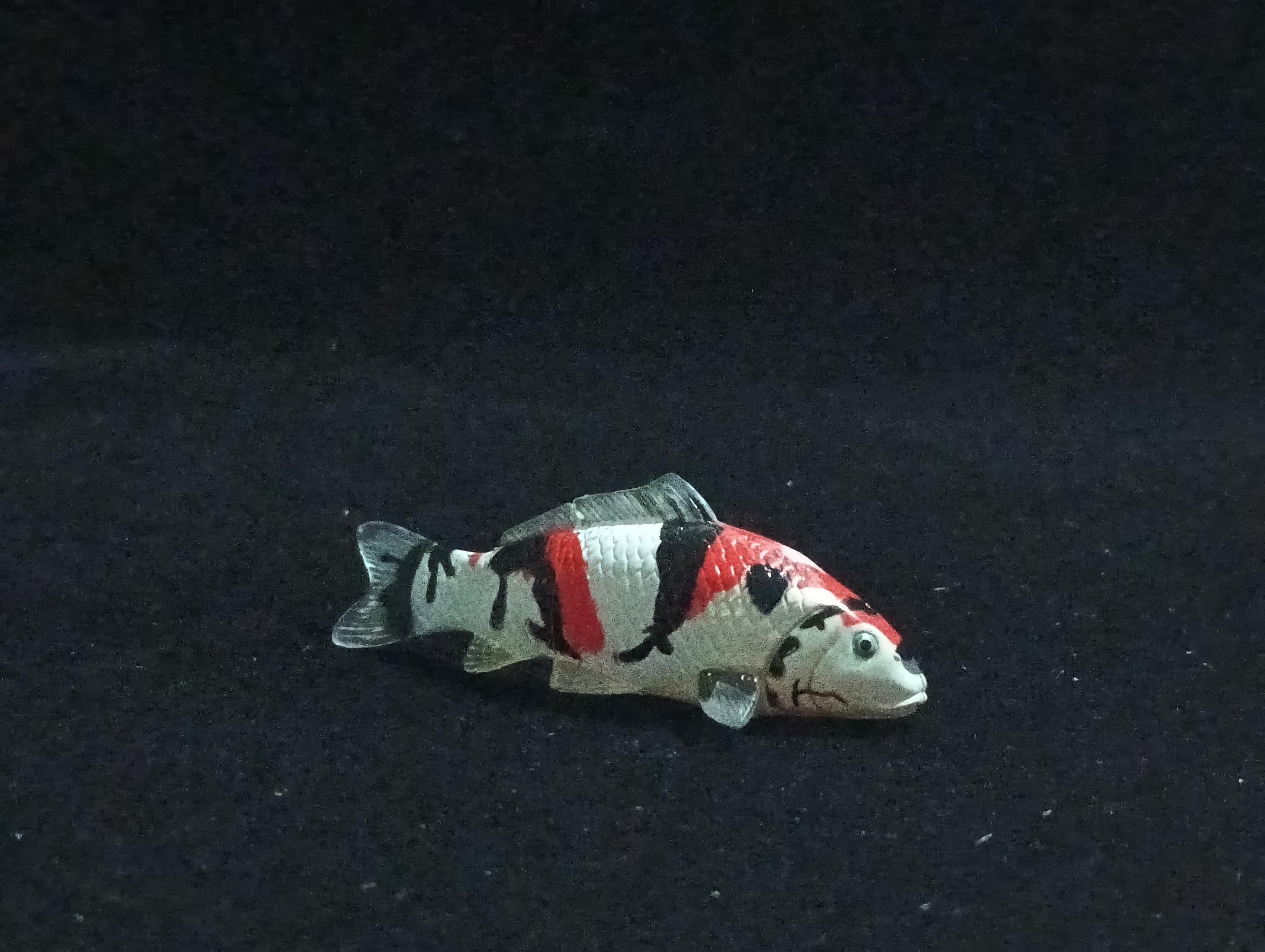 Miniature Nishikigoi (3-color) Figurine - Furuta