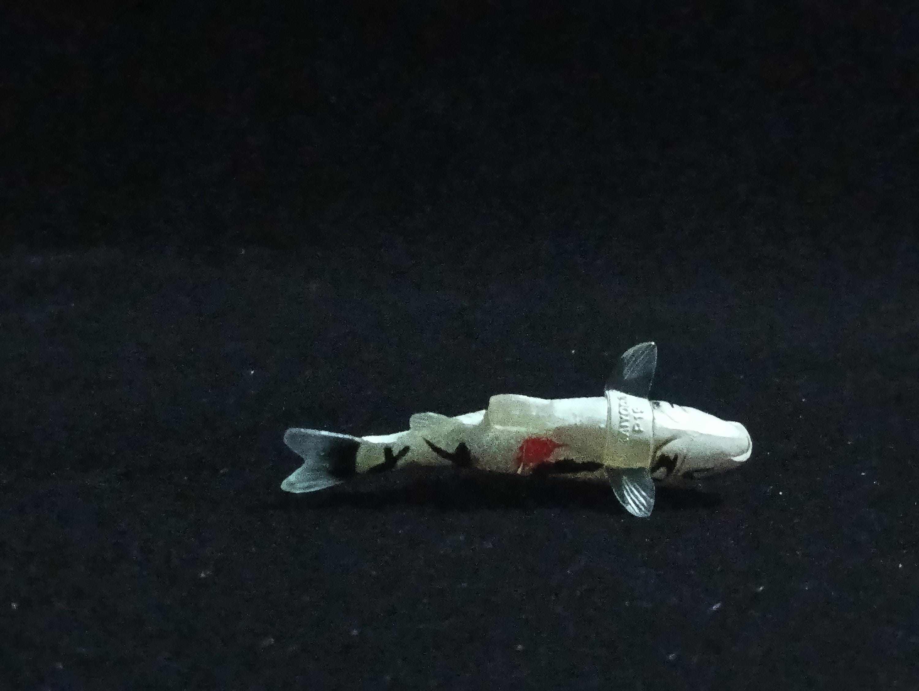 Miniature Nishikigoi (3-color) Figurine - Furuta