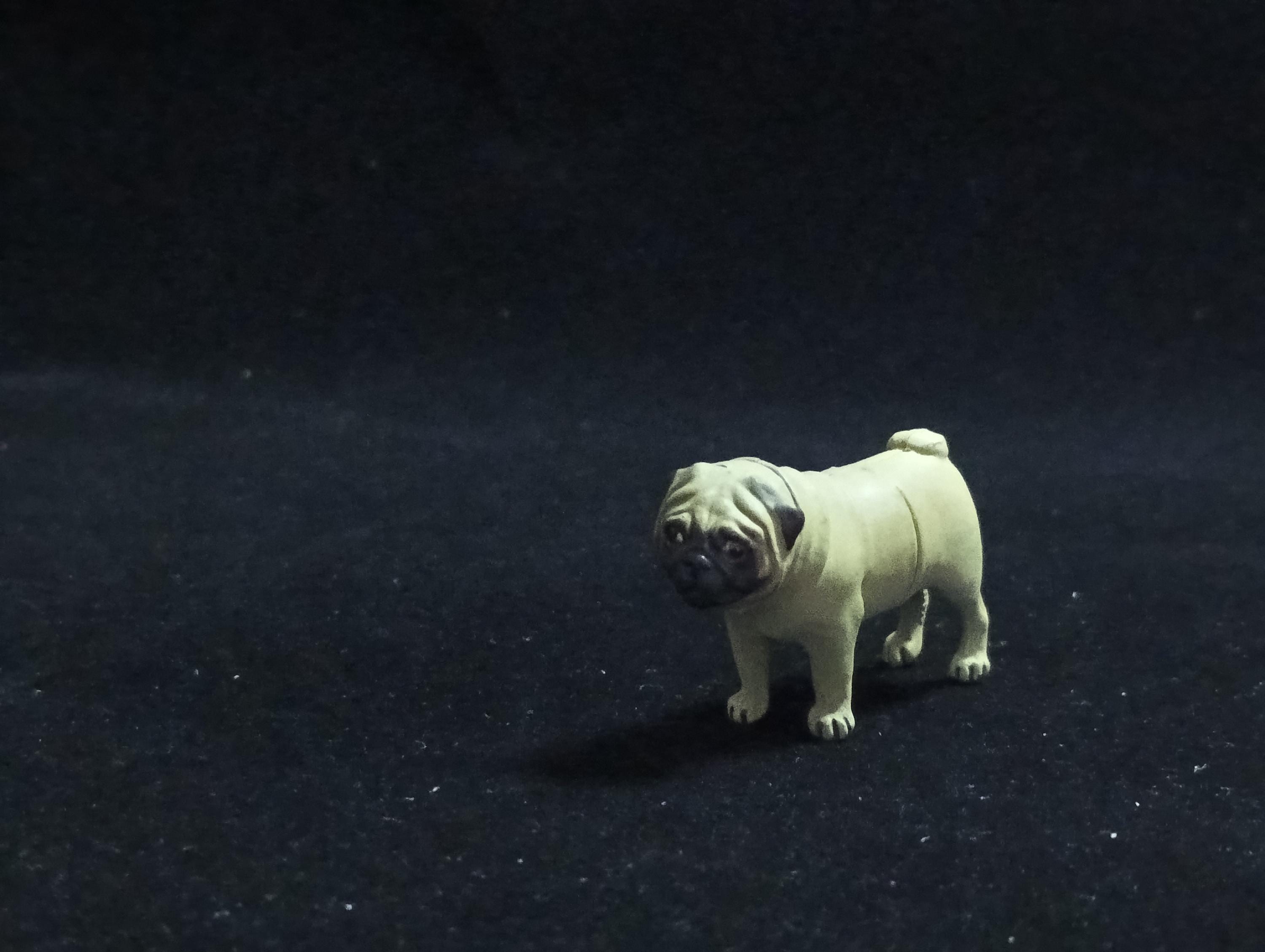 Miniature Pug Brown Dog Figurine - Furuta