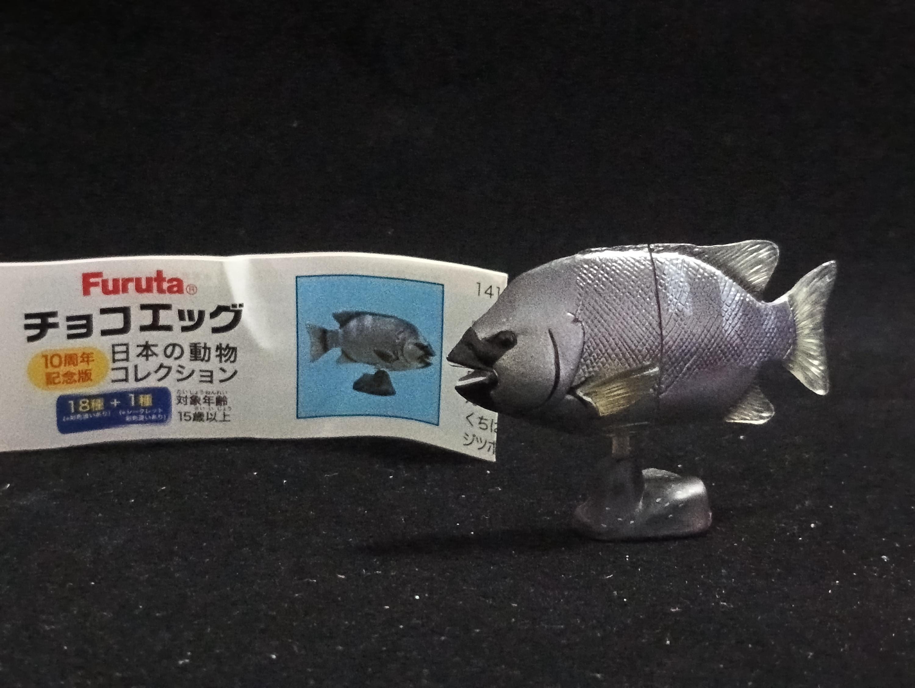 Miniature Parrot Fish  Figurine - Furuta