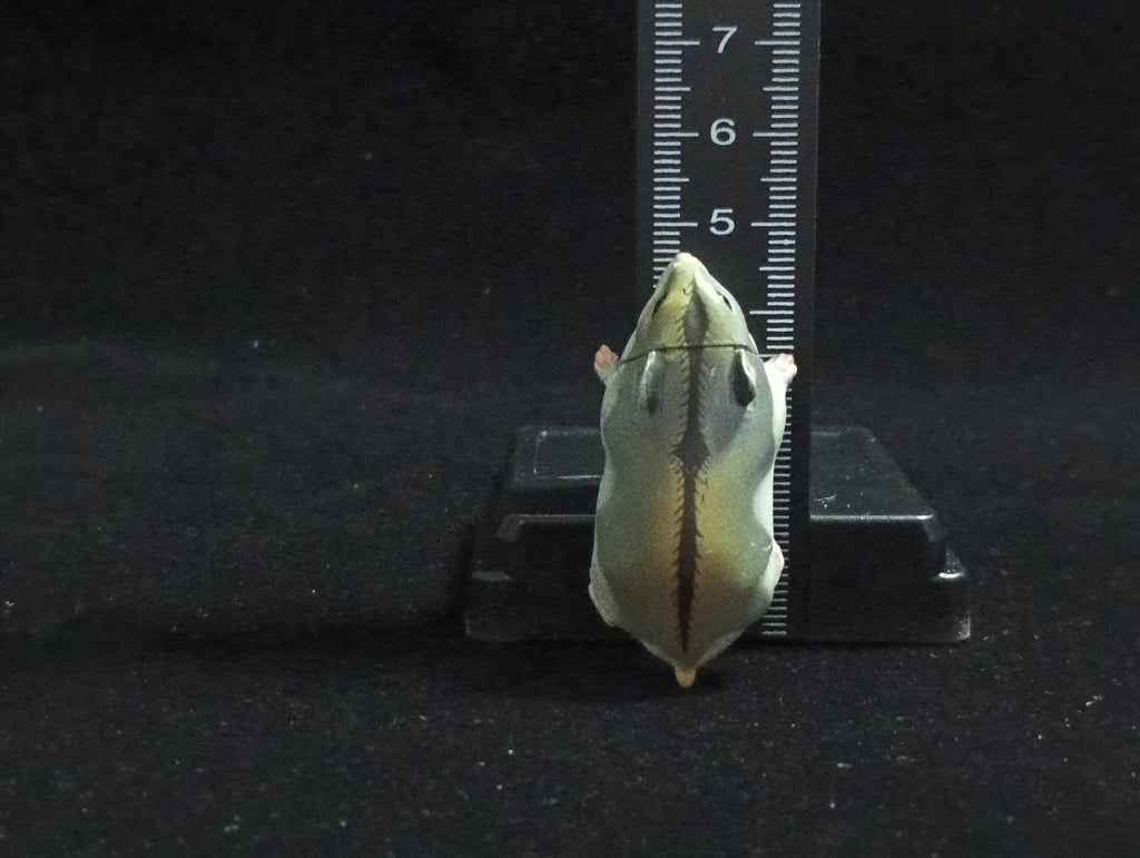 Miniature Lop Ear(Grey) Figurine - Furuta
