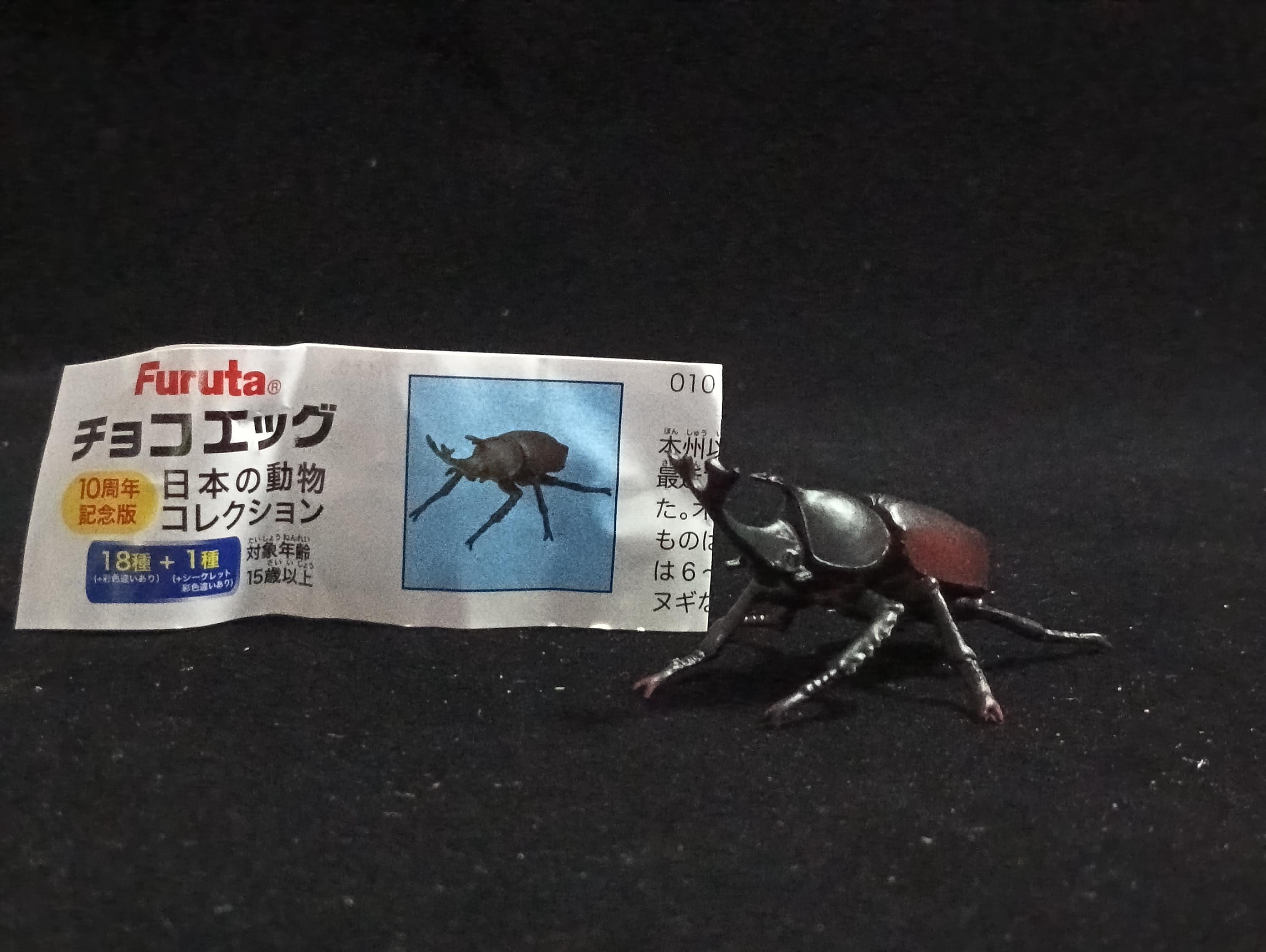 Miniature Rhinoceros Beetle Figurine - Furuta
