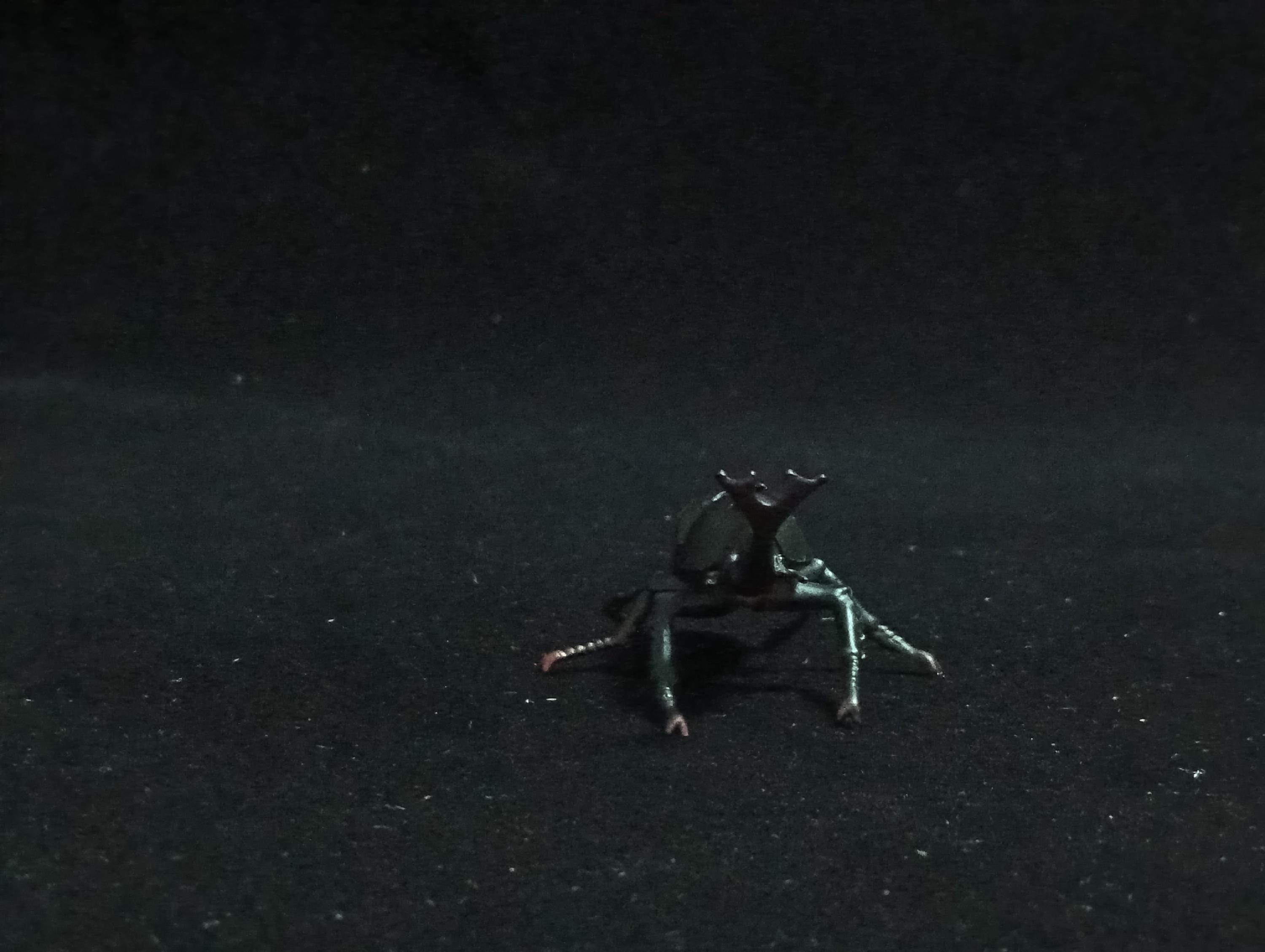 Miniature Rhinoceros Beetle Figurine - Furuta