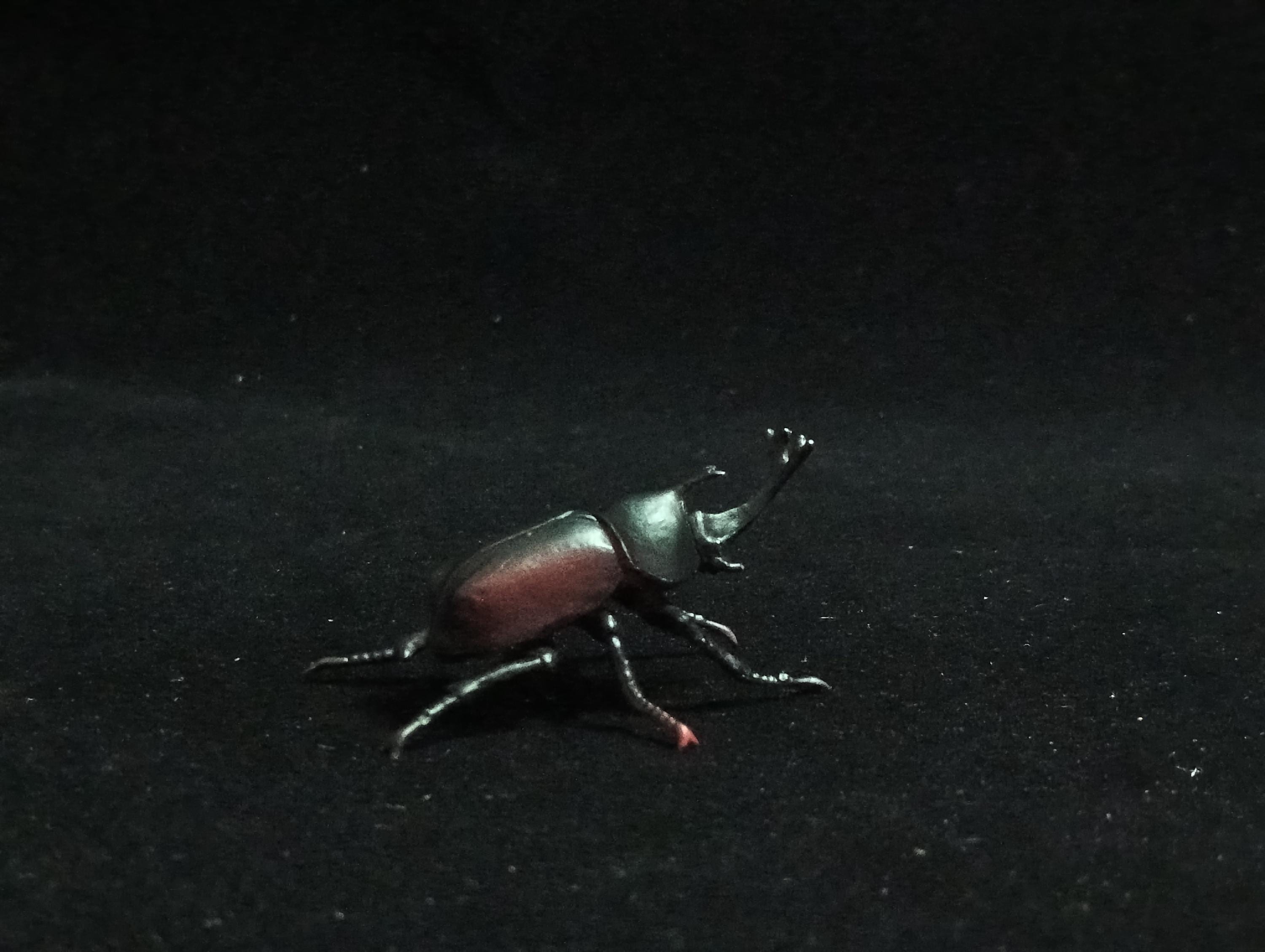Miniature Rhinoceros Beetle Figurine - Furuta
