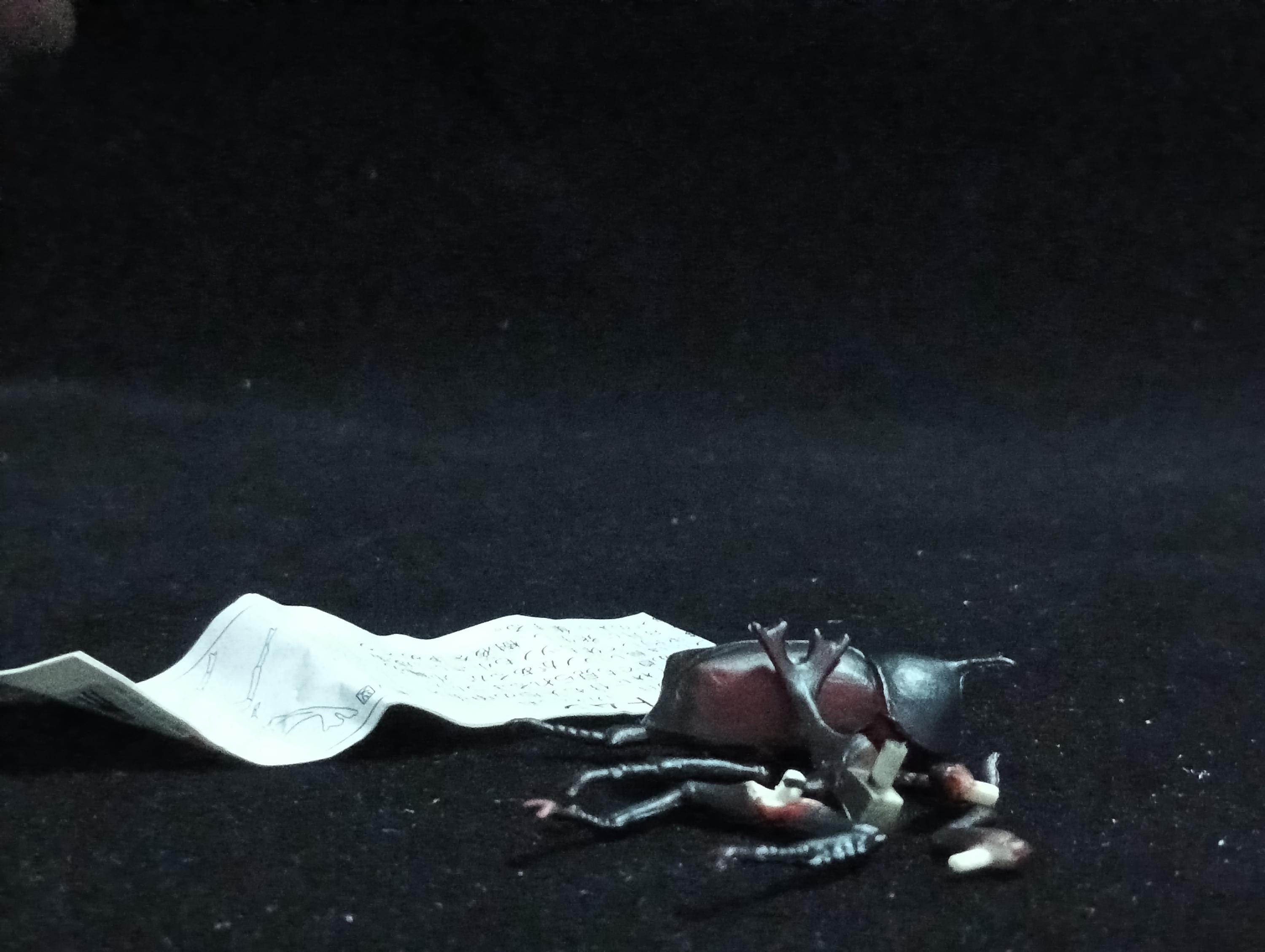 Miniature Rhinoceros Beetle Figurine - Furuta