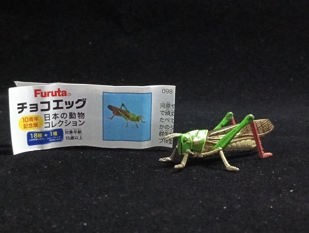 Miniature Migratory Locust Figurine - Furuta
