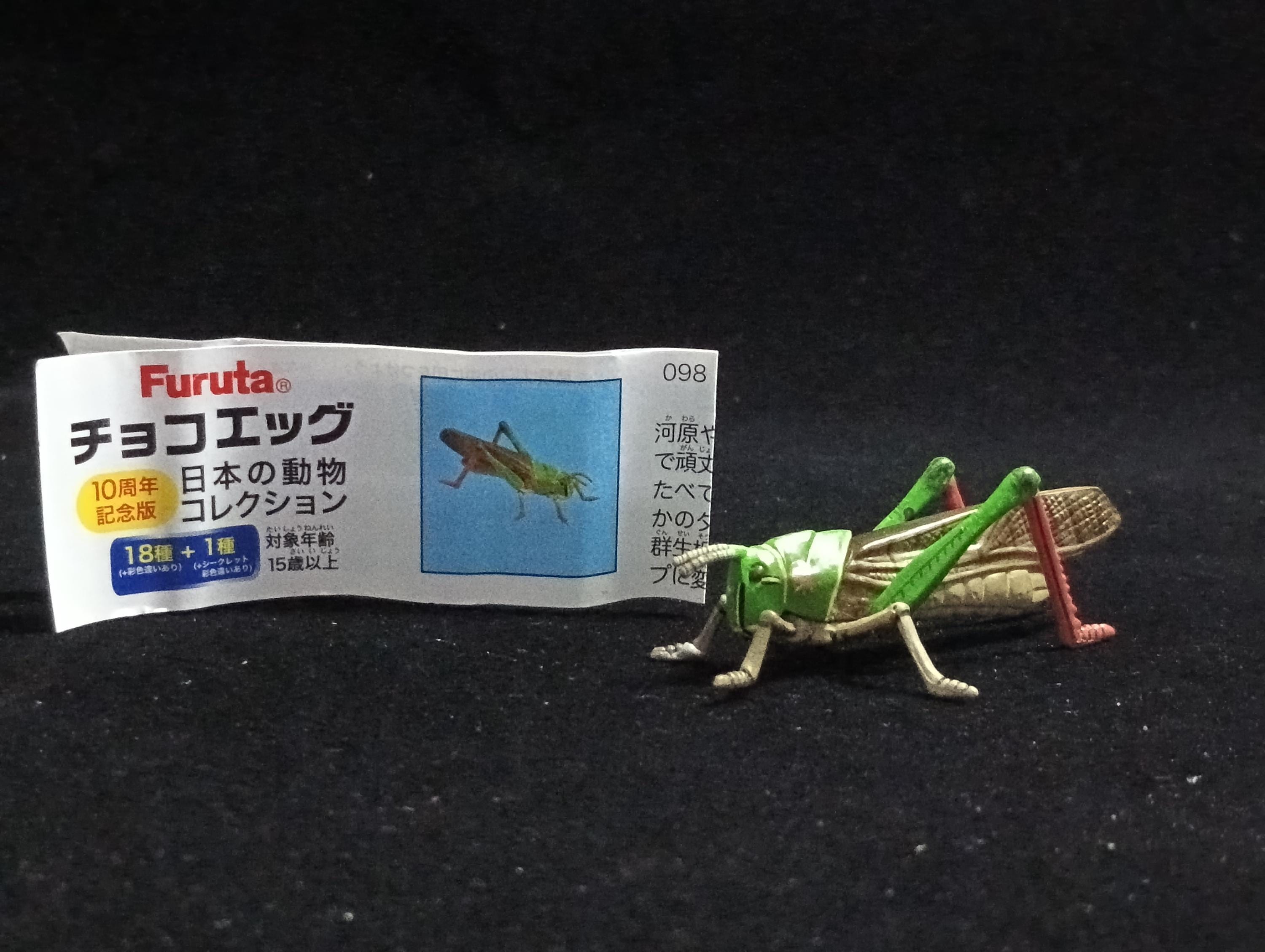 Miniature Migratory Locust Figurine - Furuta