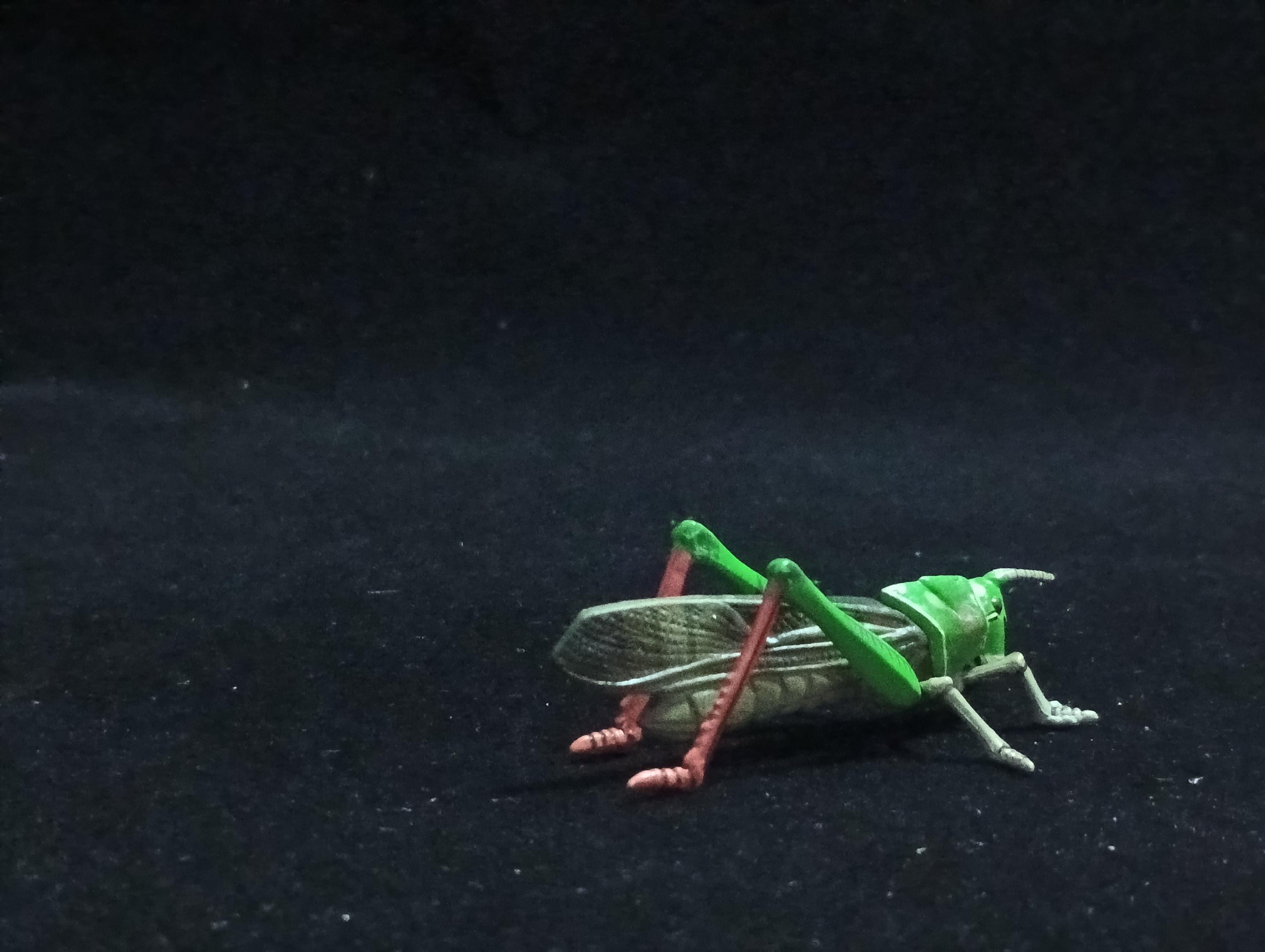 Miniature Migratory Locust Figurine - Furuta