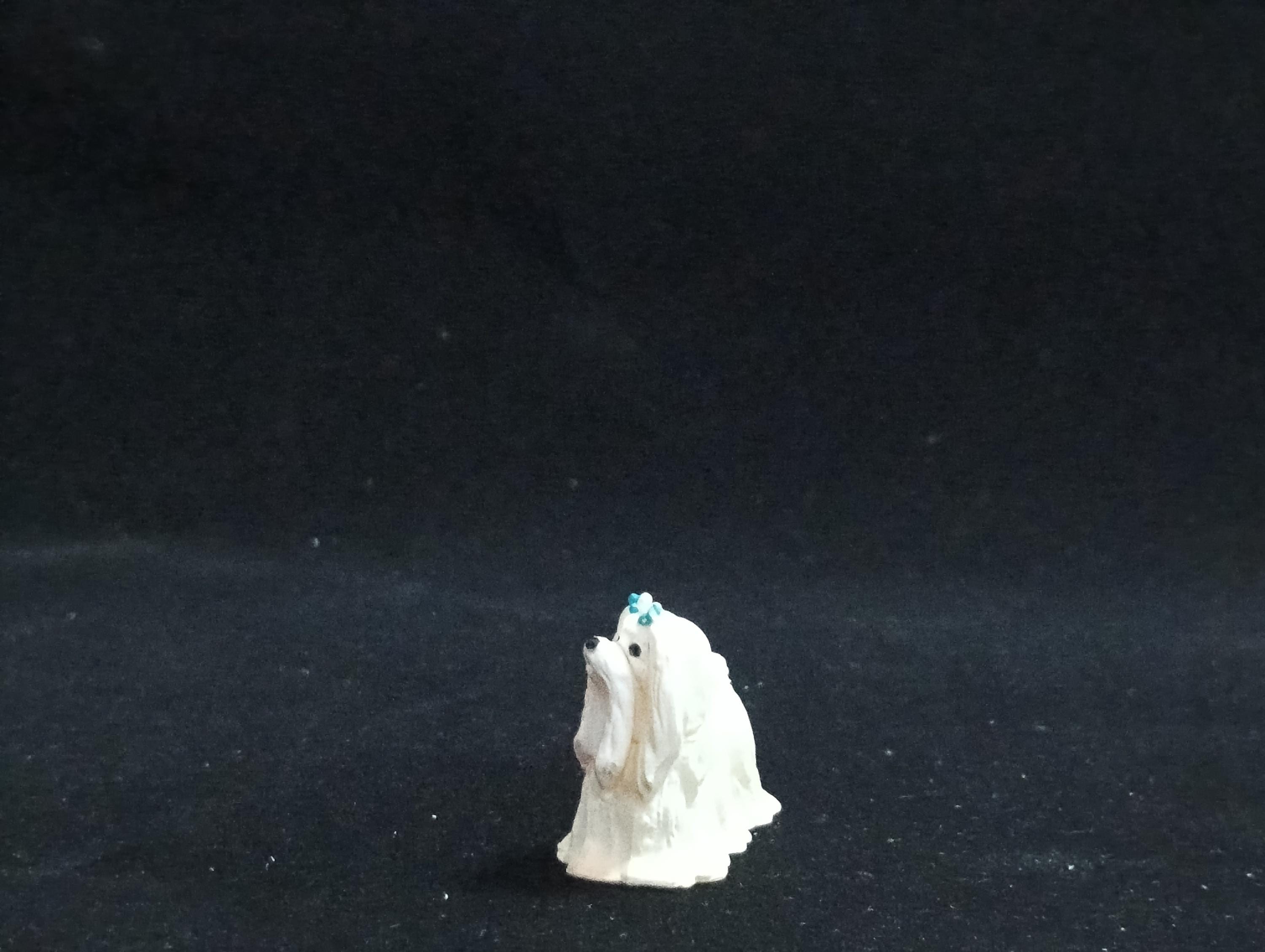 Miniature Maltese pure white Figurine - Furuta