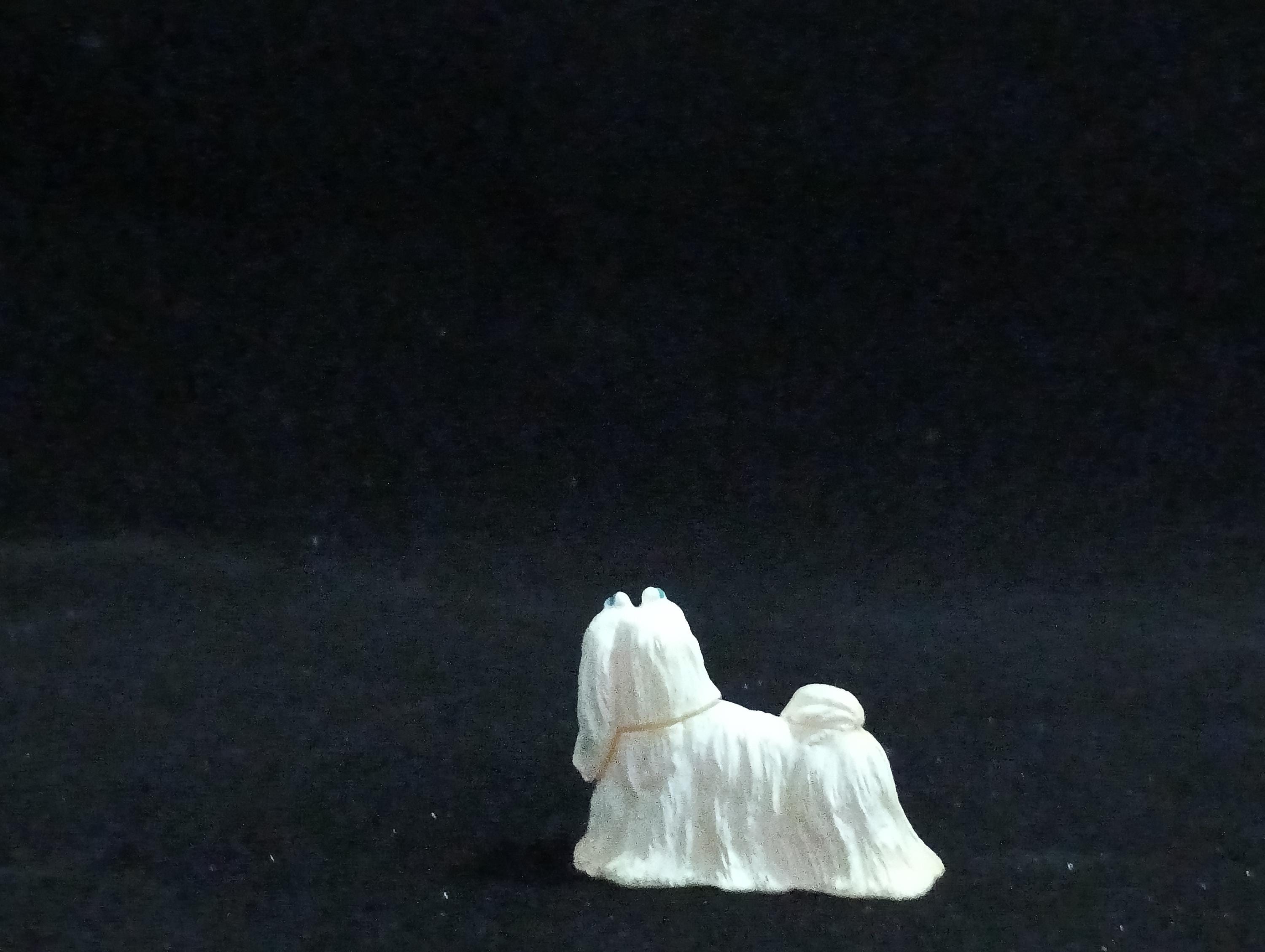 Miniature Maltese pure white Figurine - Furuta