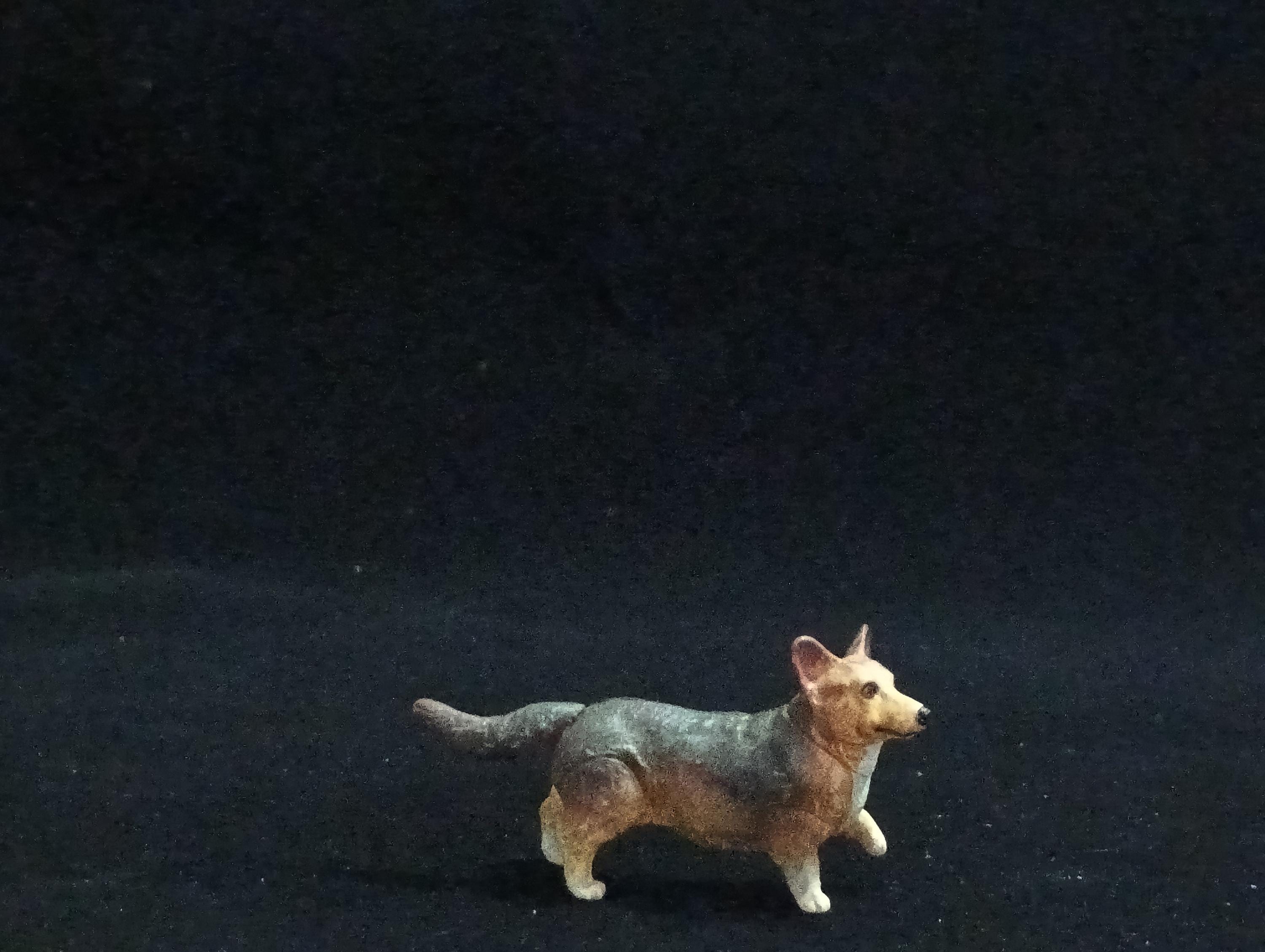 Miniature Welsh Corgi Dog (Brown-Black) Figurine - Furuta