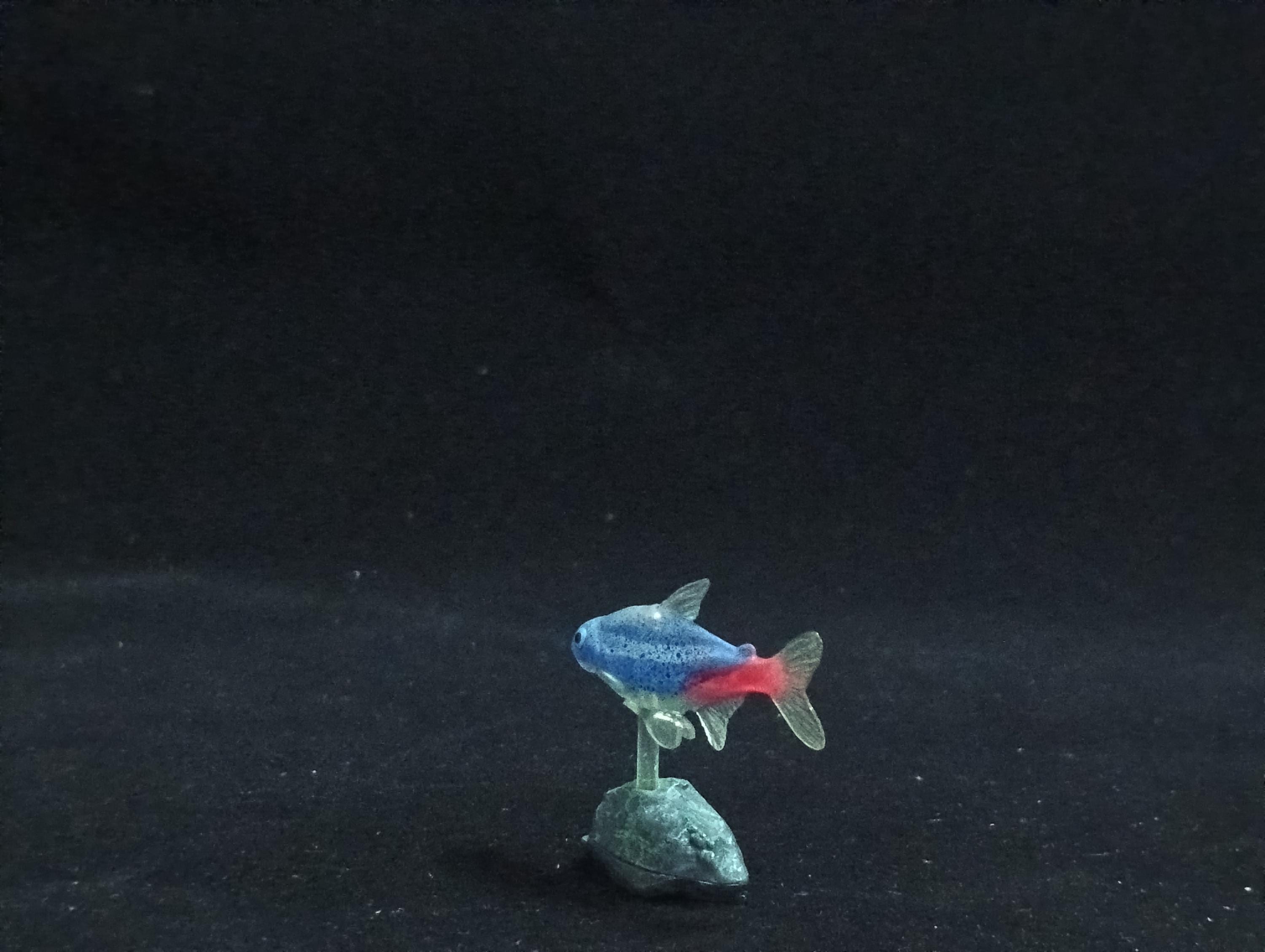 Miniature Neon Tetra Figurine - Furuta