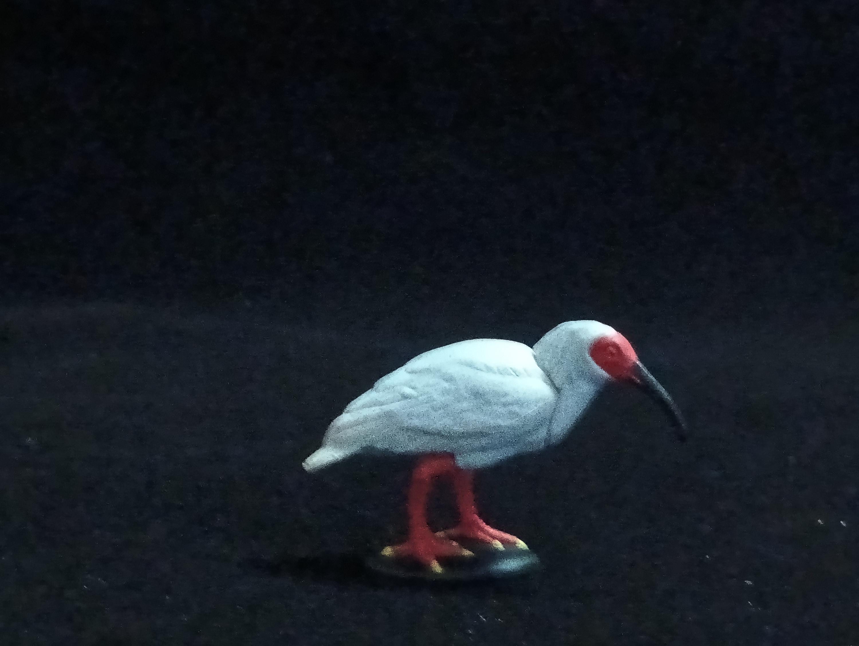 Miniature Japanese crested ibis Figurine - Furuta
