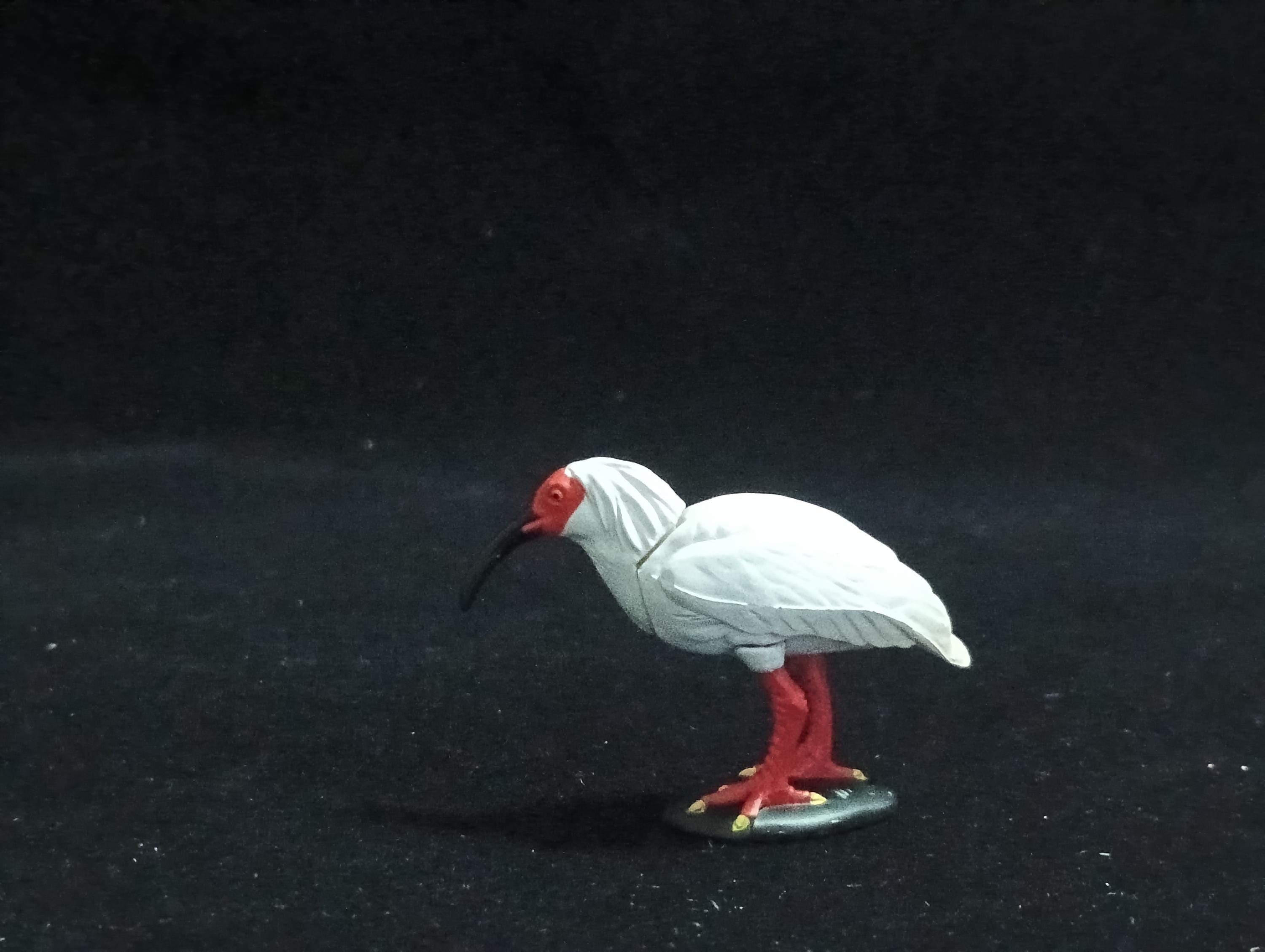 Miniature Japanese crested ibis Figurine - Furuta