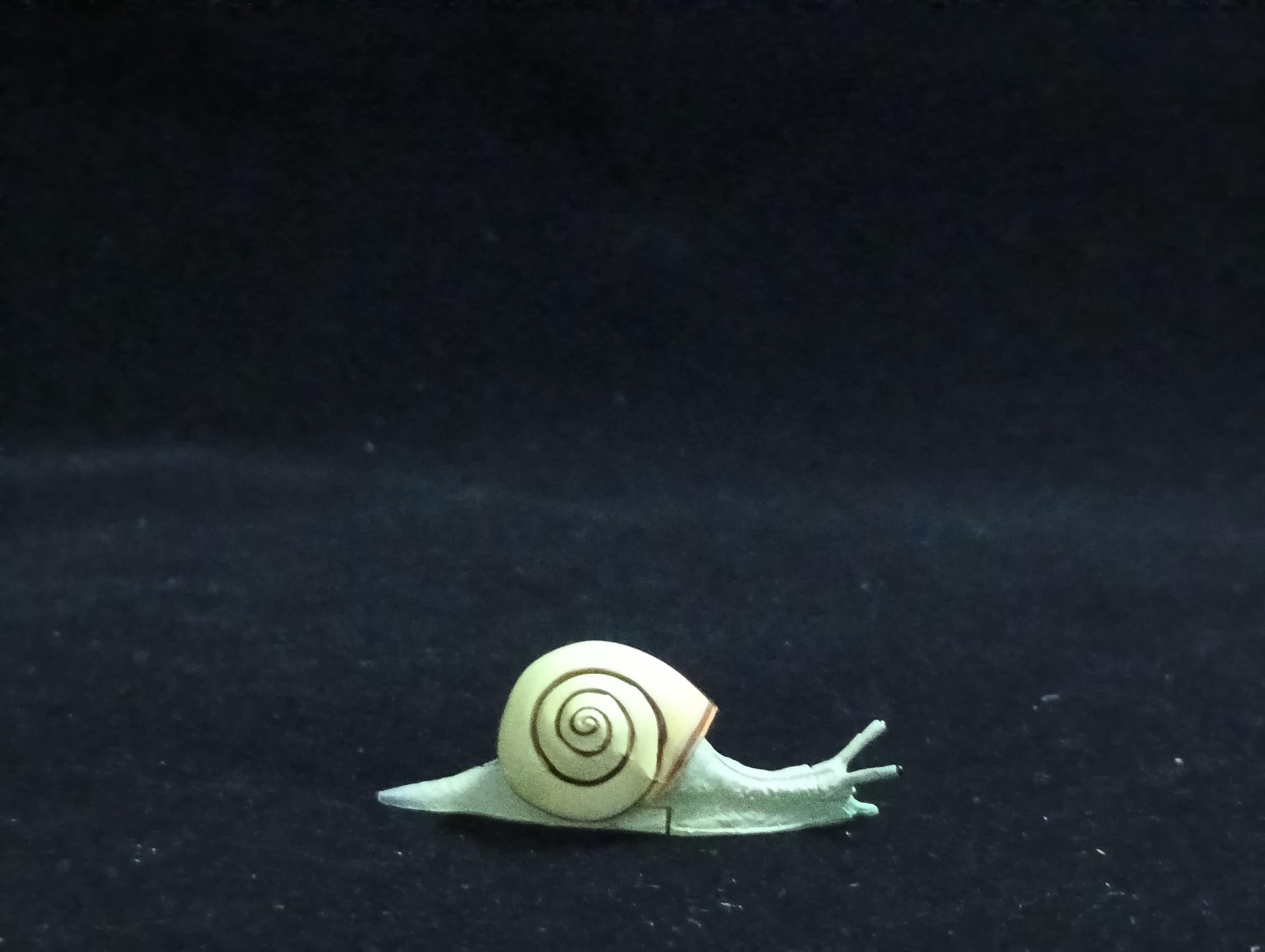 Miniature Amalia snail Figurine - Furuta