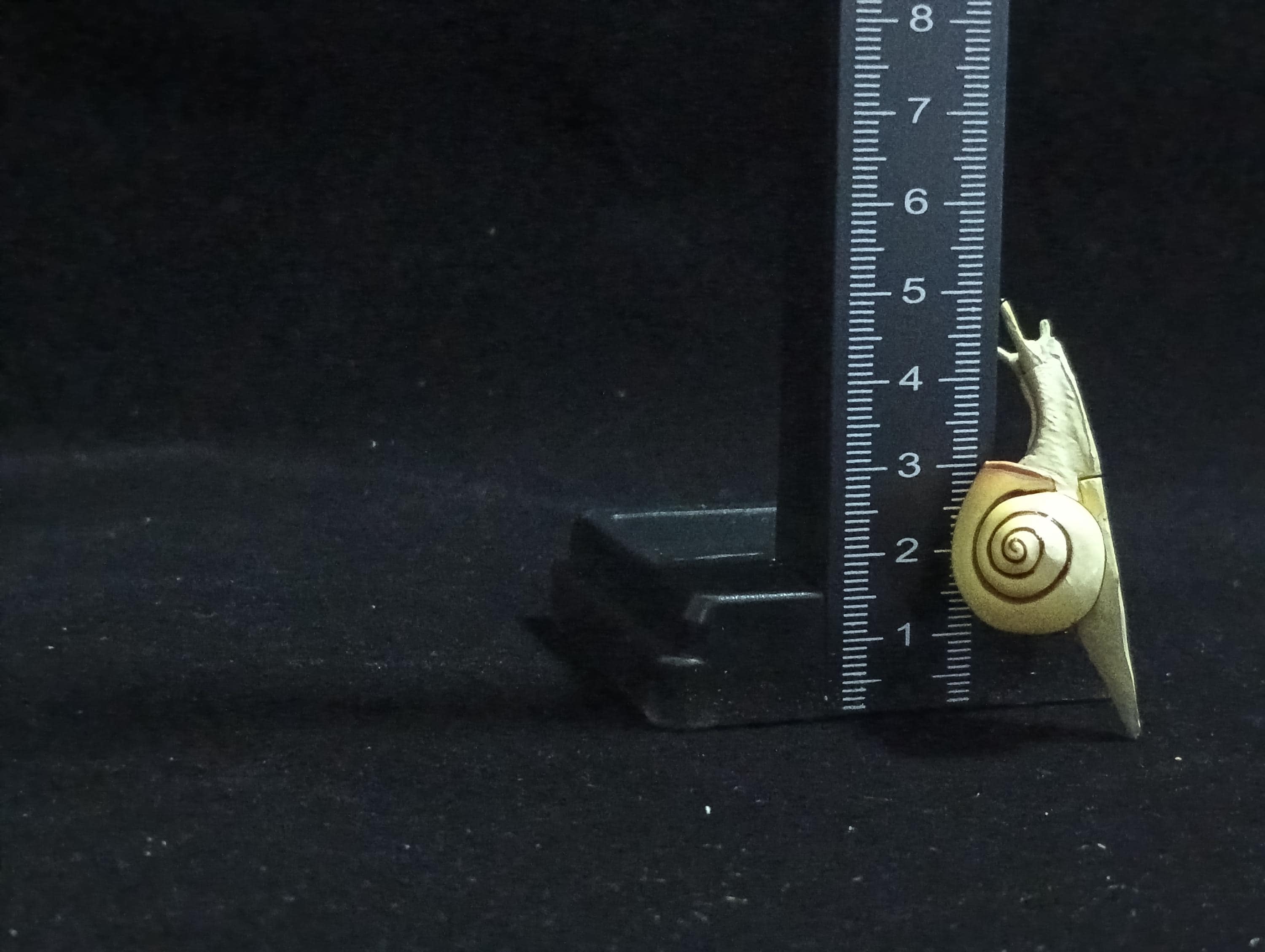 Miniature Amalia snail Figurine - Furuta