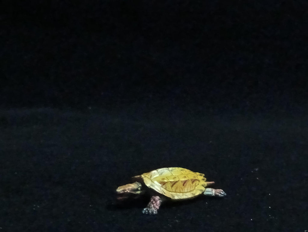 Miniature Turtle Figurine - Furuta