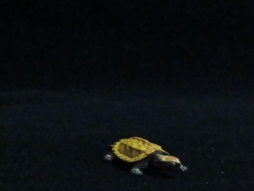 Miniature Turtle Figurine - Furuta