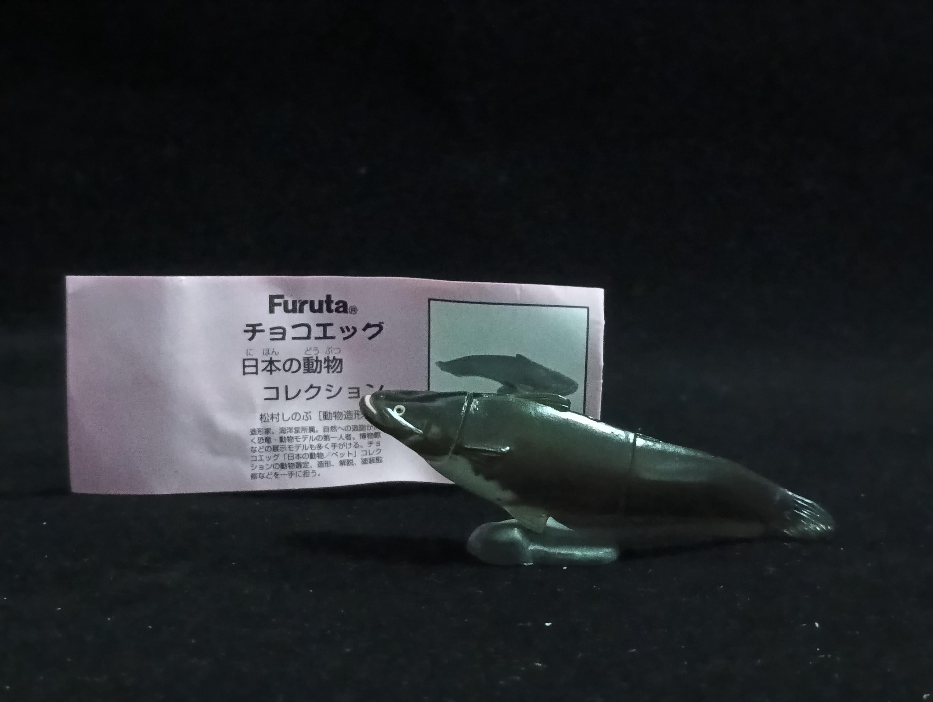 Miniature Biwako giant catfish Figurine - Furuta