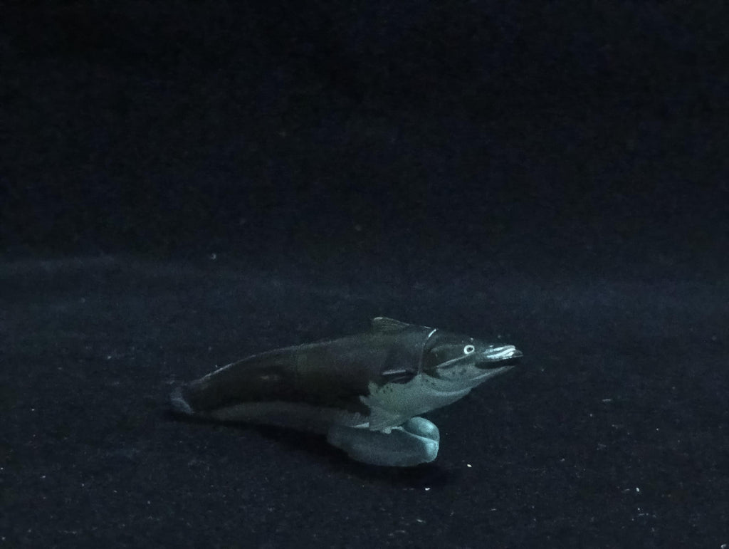 Miniature Biwako giant catfish Figurine - Furuta
