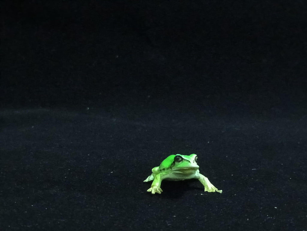 Miniature Japanese tree frog Figurine - Furuta
