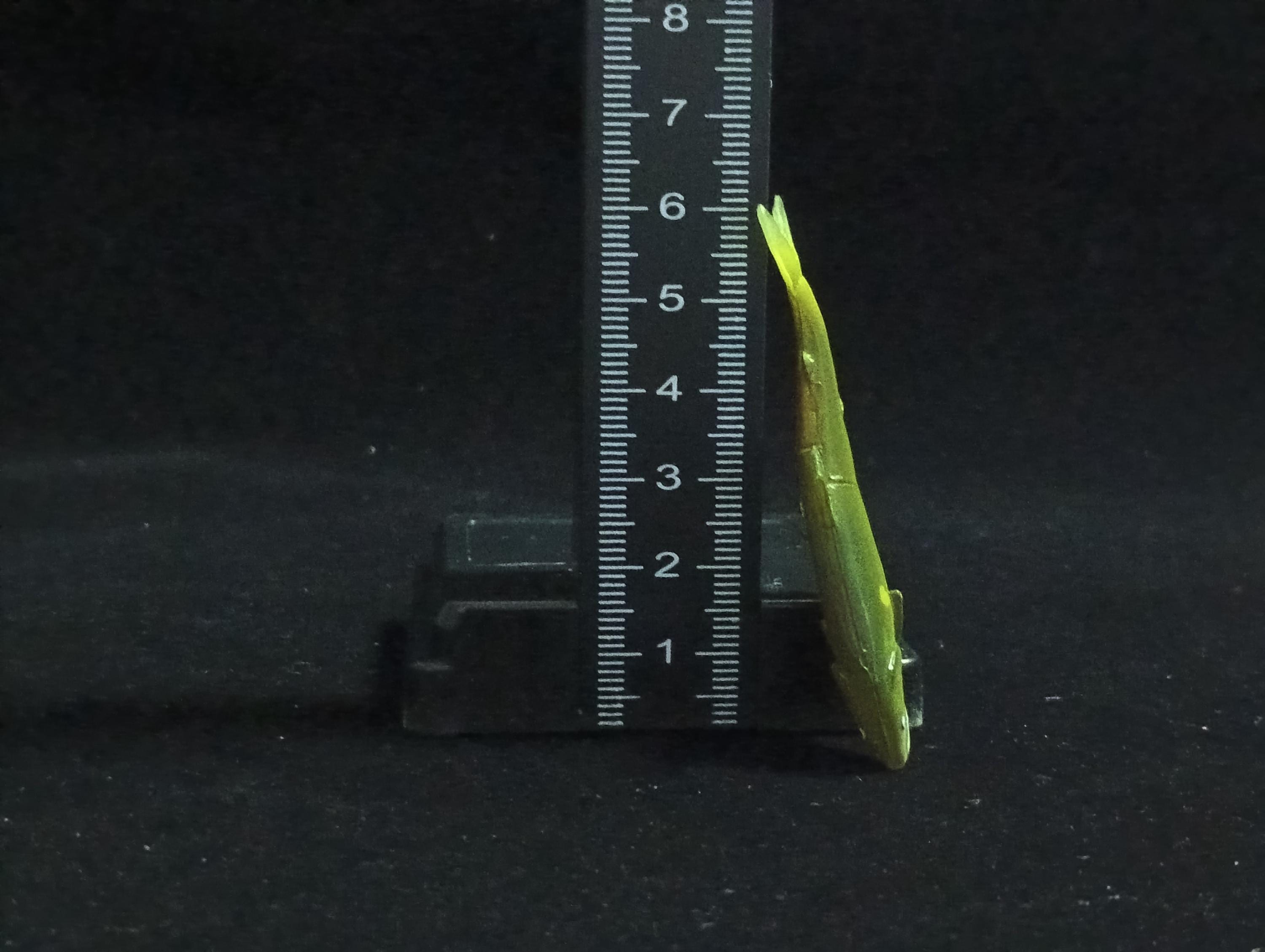 Miniature Ayu Tomo Fishing Figurine - Furuta