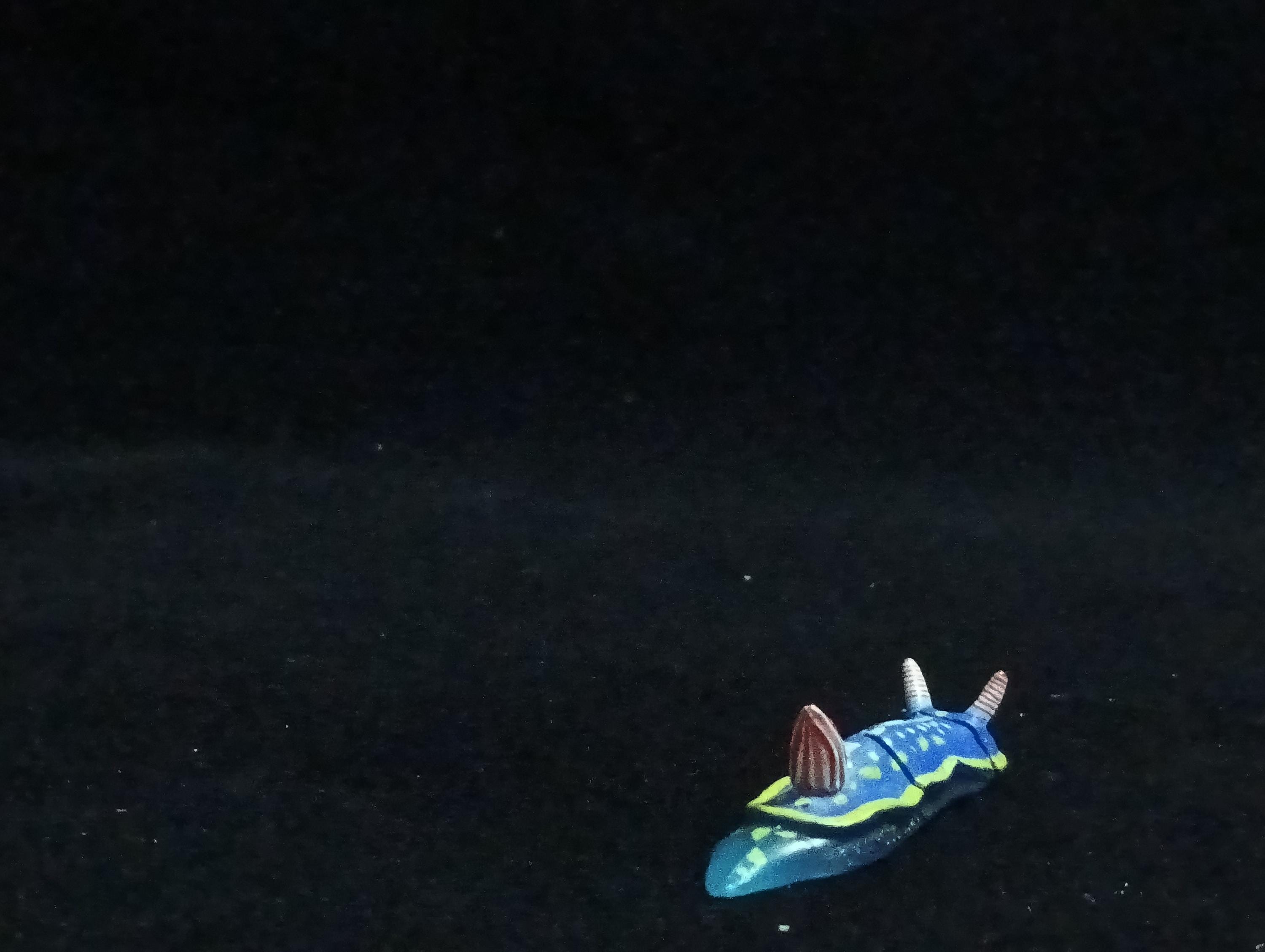 Miniature Sea slug (blue) Figurine - Furuta