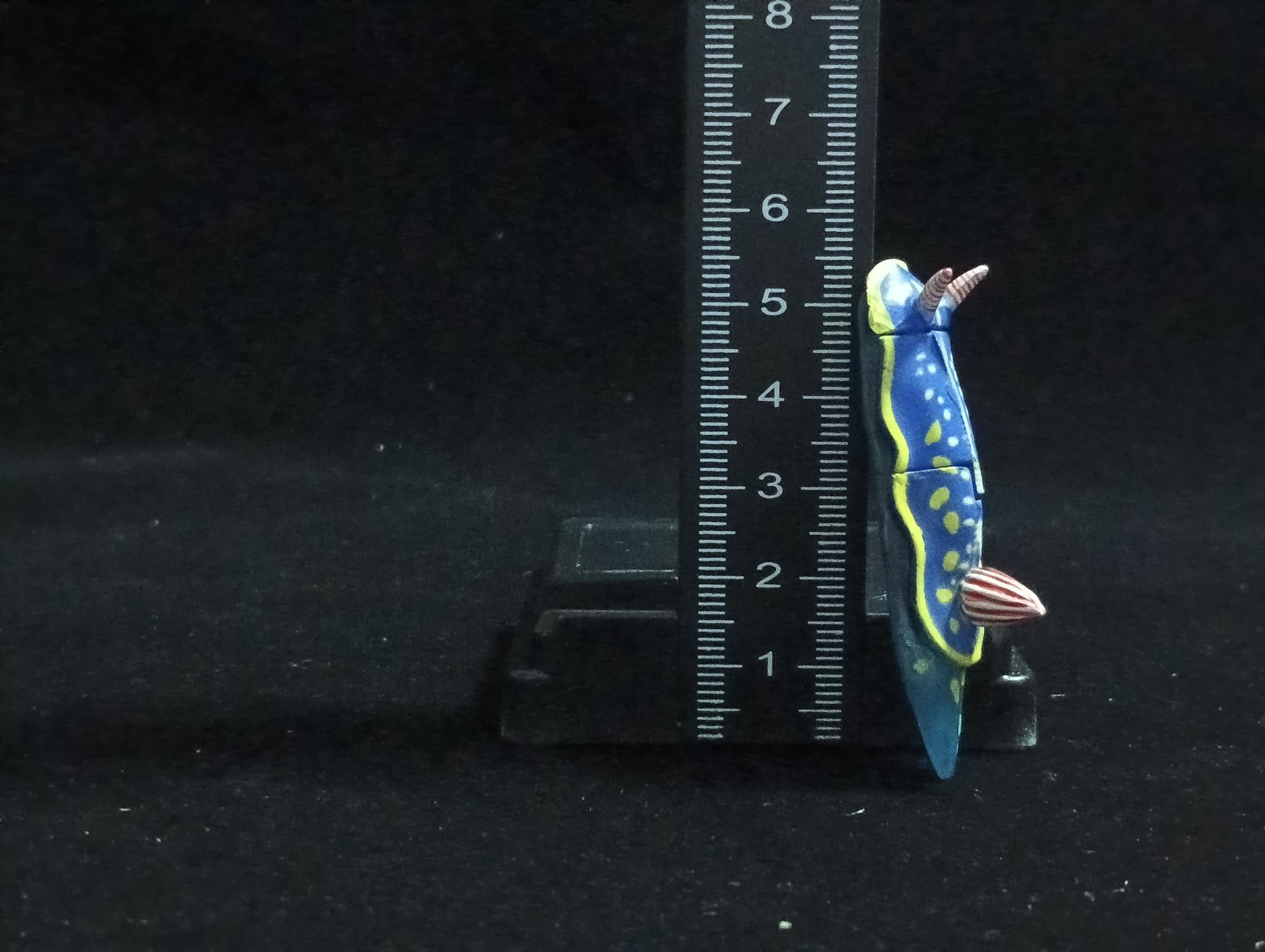 Miniature Sea slug (blue) Figurine - Furuta