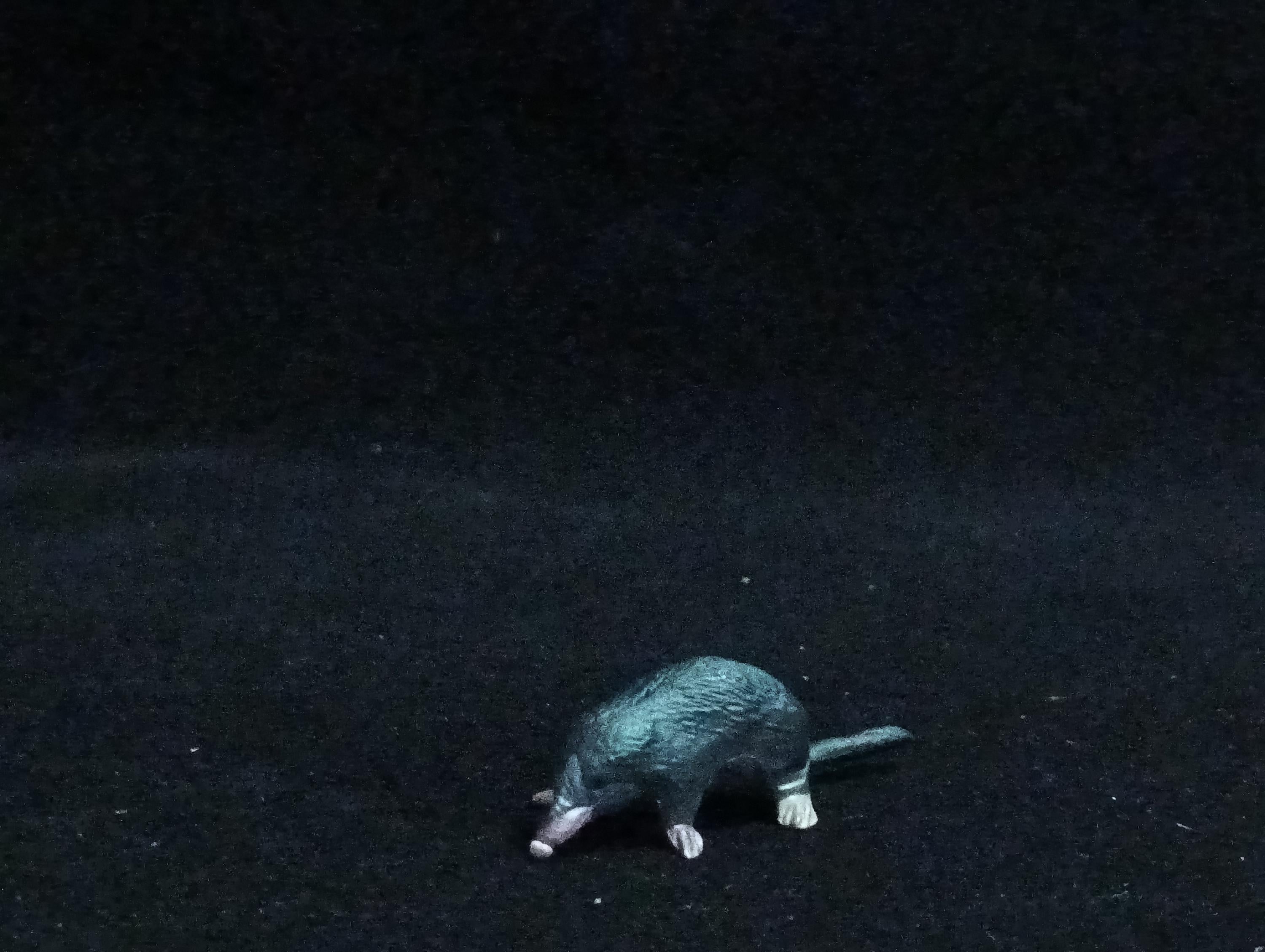 Miniature Mole Figurine - Furuta