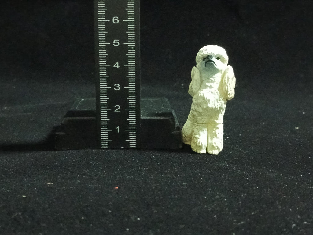 Miniature Poodle Dog(White) Figurine - Furuta