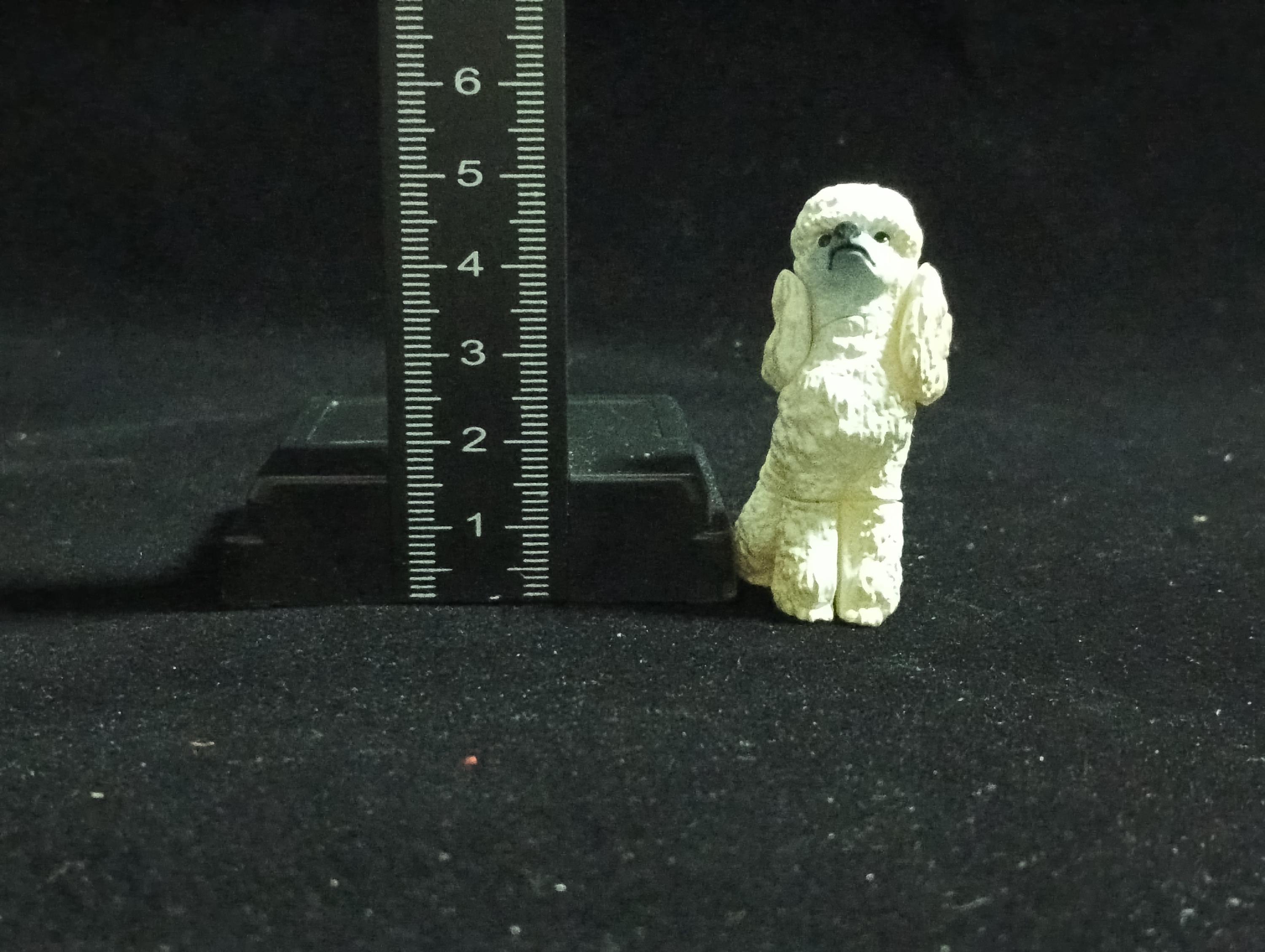 Miniature Poodle Dog(White) Figurine - Furuta