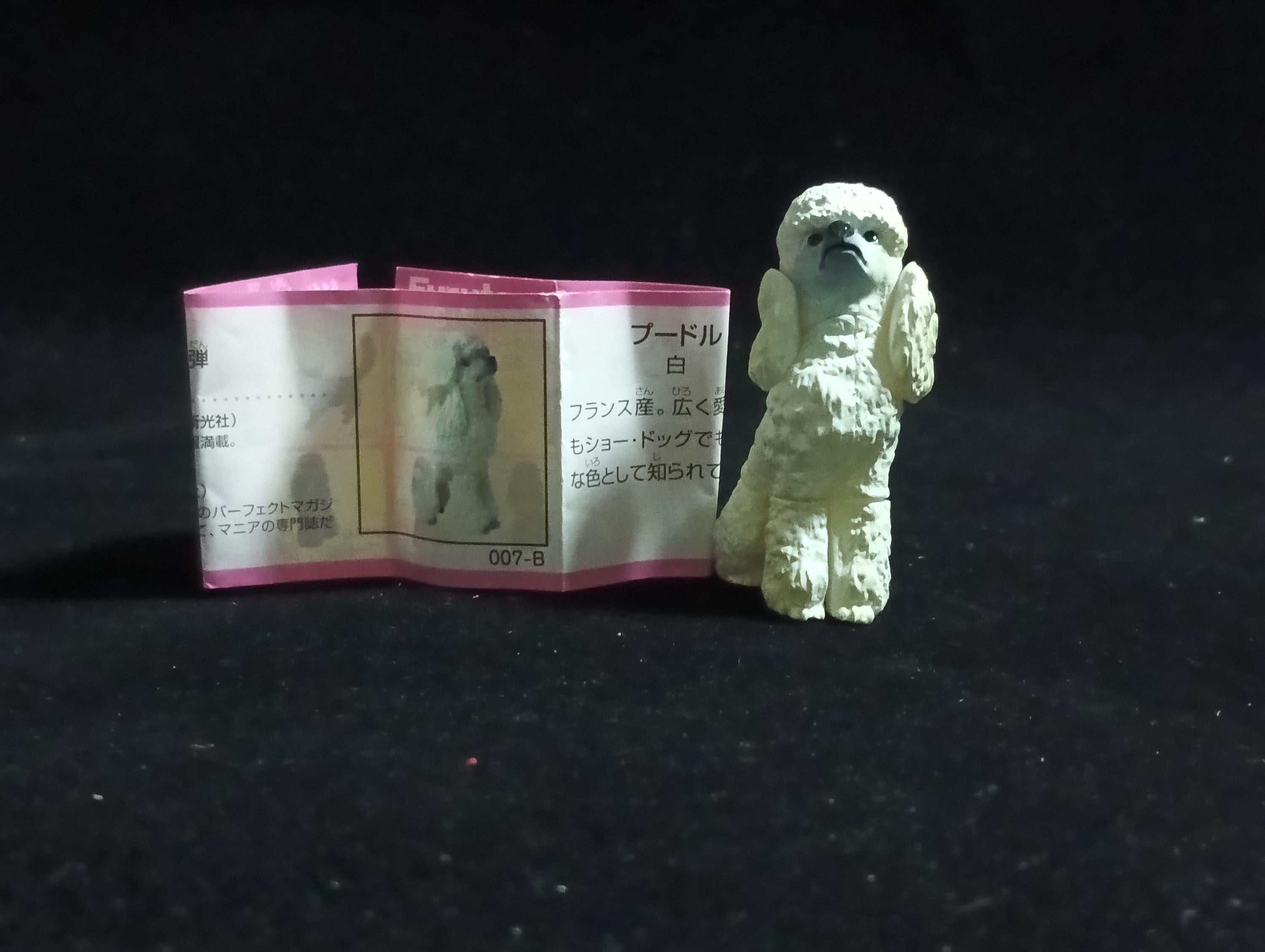 Miniature Poodle Dog(White) Figurine - Furuta