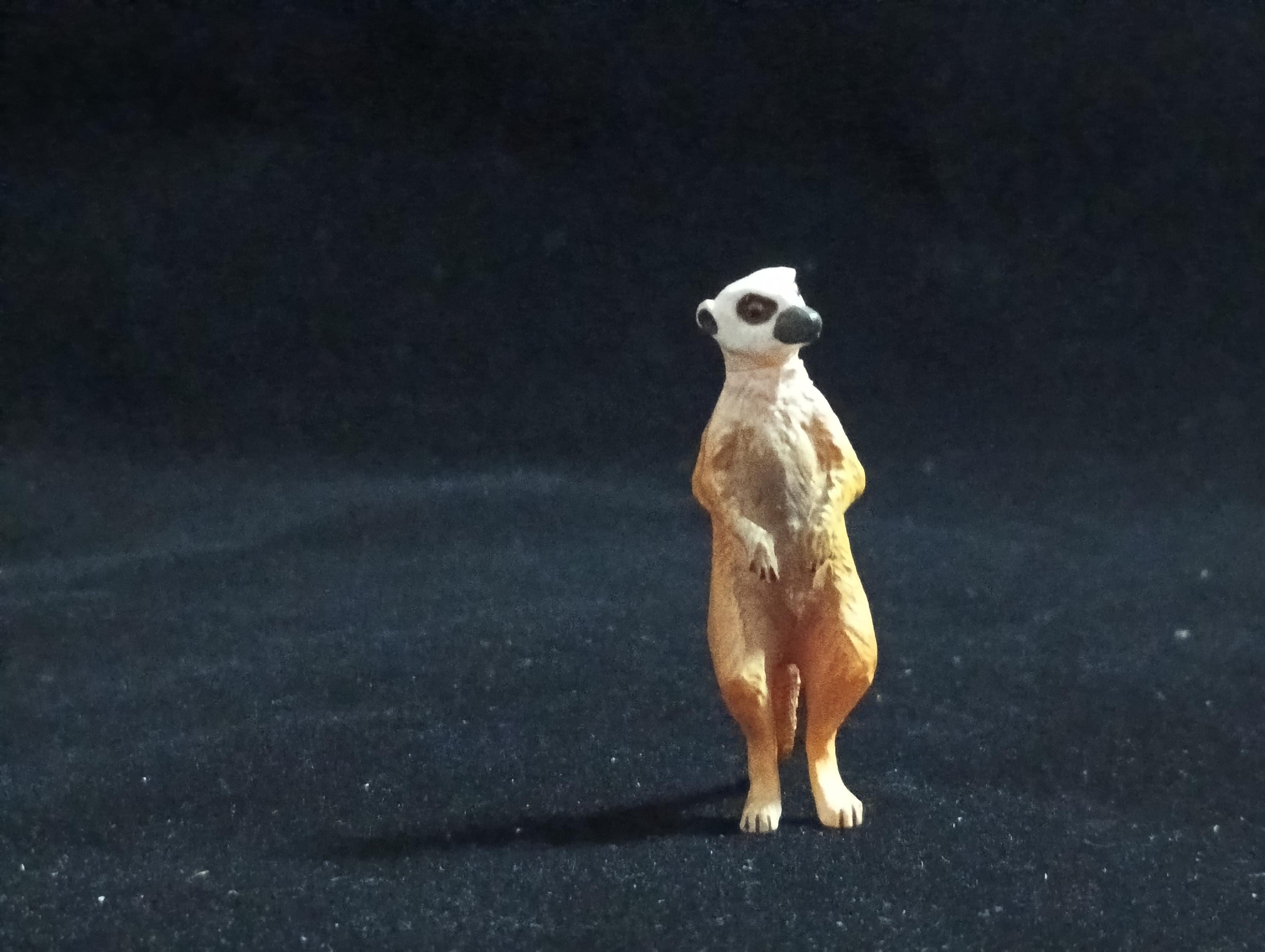 Miniature Suricata Figurine - Furuta