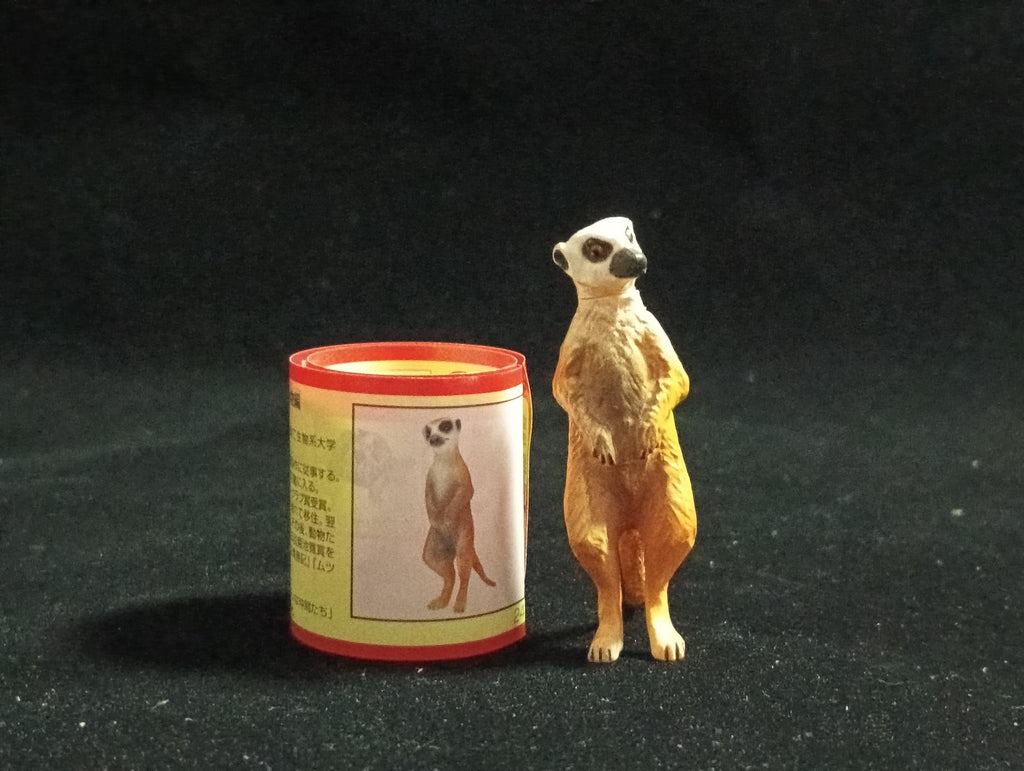 Miniature Suricata Figurine - Furuta