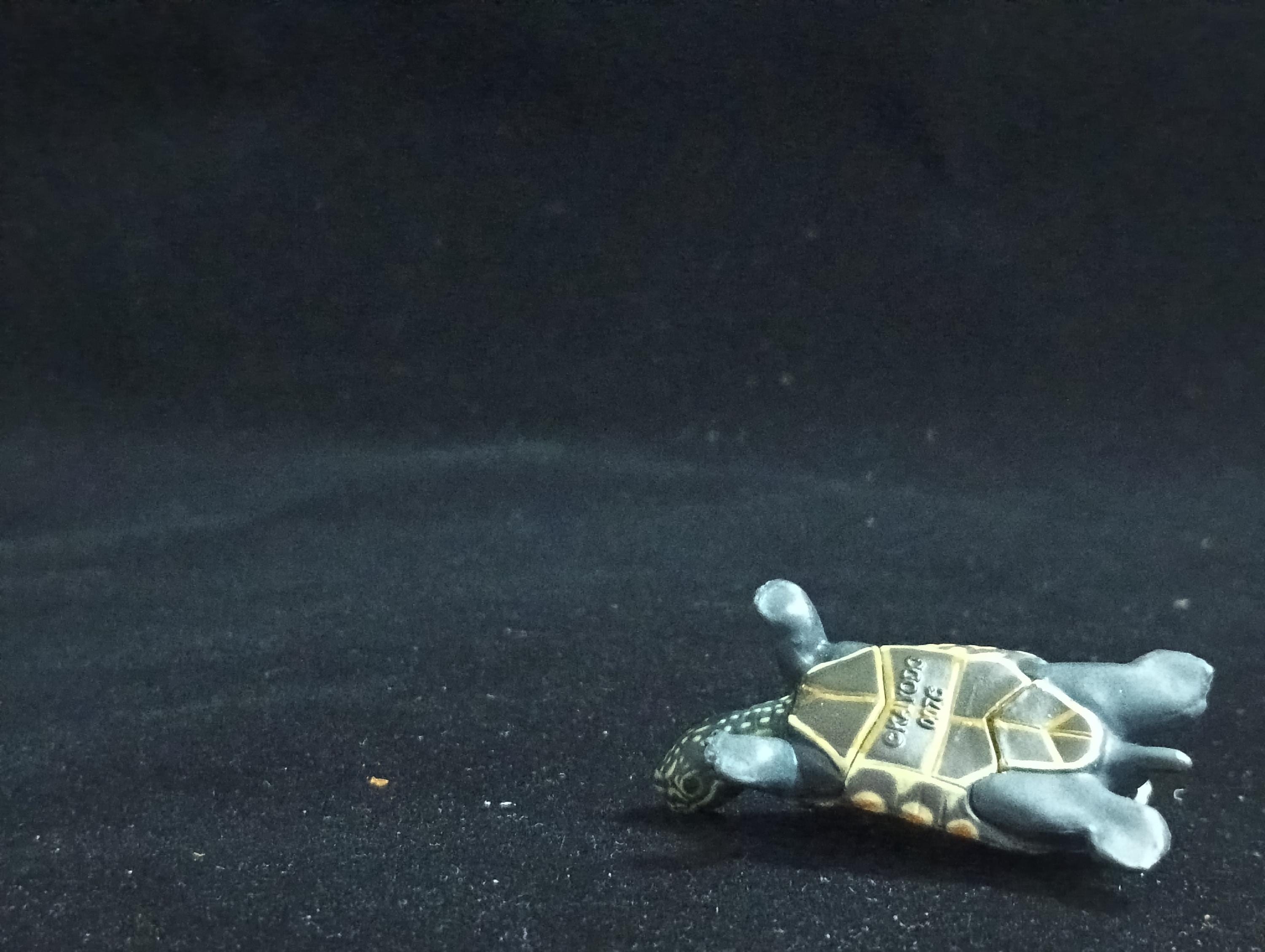 Miniature Grass turtle Figurine - Furuta
