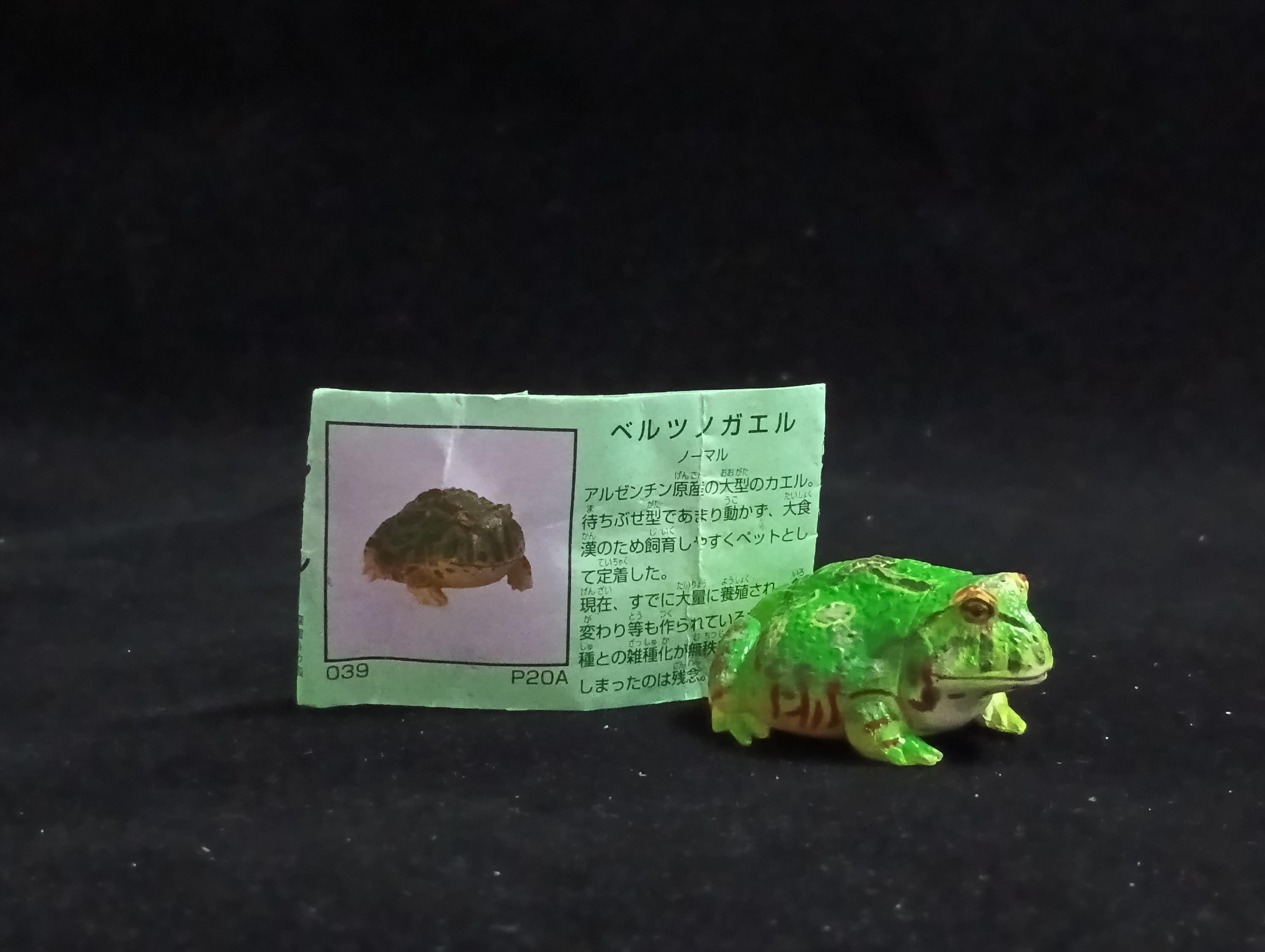 Miniature Argentine Horned Frog Figurine - Furuta