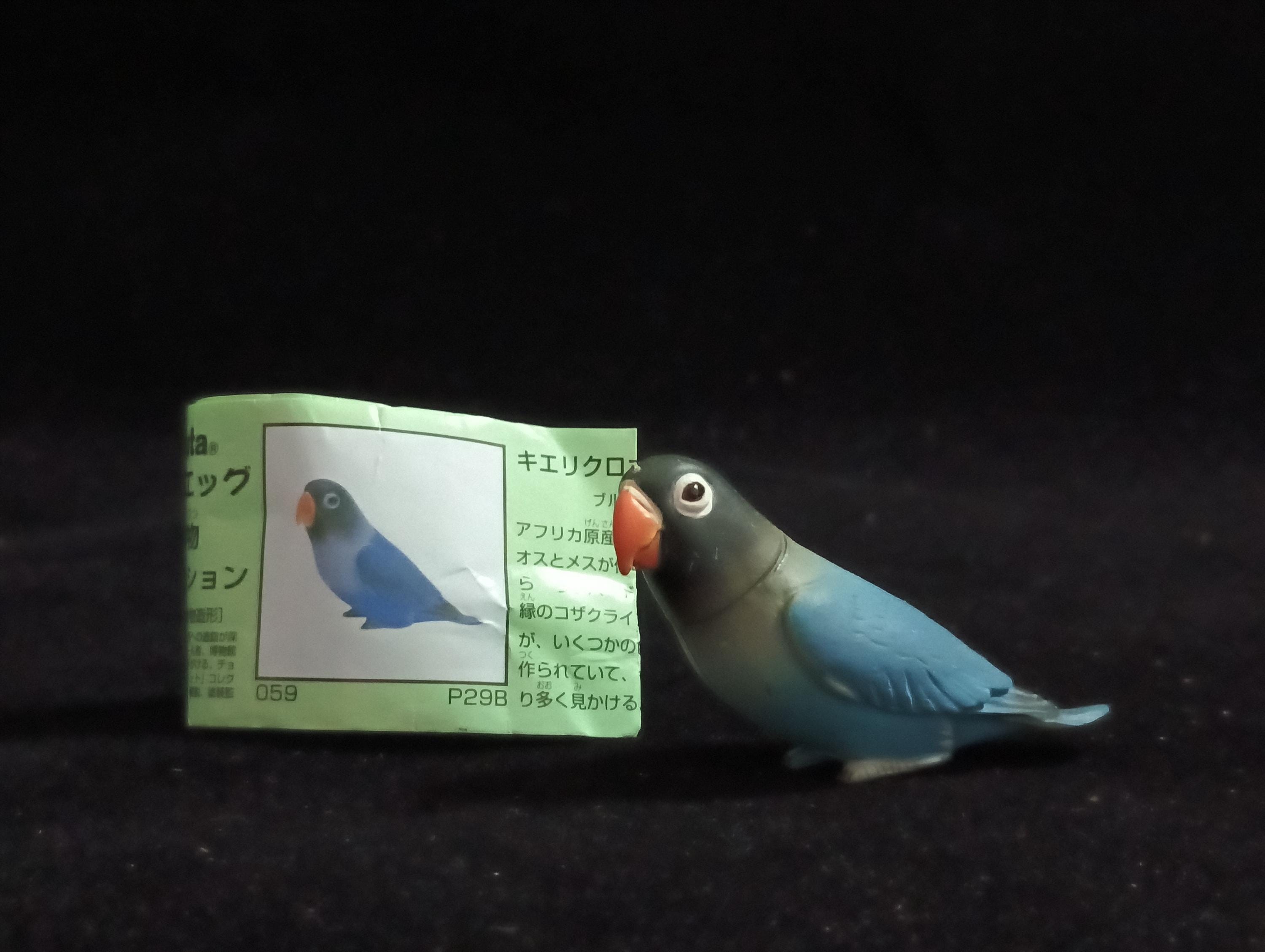 Miniature AFRICAN LOVEBIRD (Blue) Figurine - Furuta