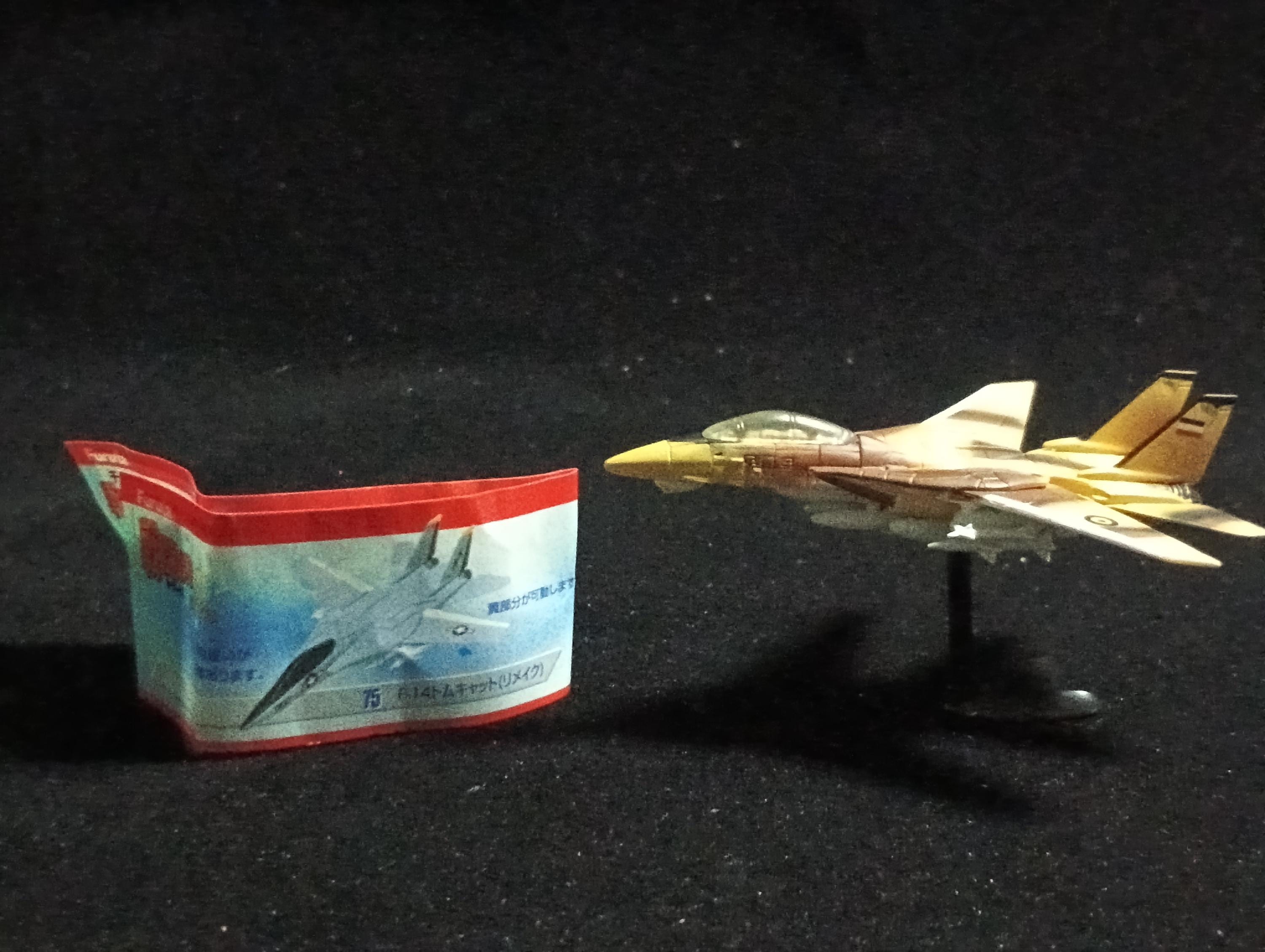 Grumman F-14 Tomcat - Furuta Fighter Aircraft Vol.4 No.75-c