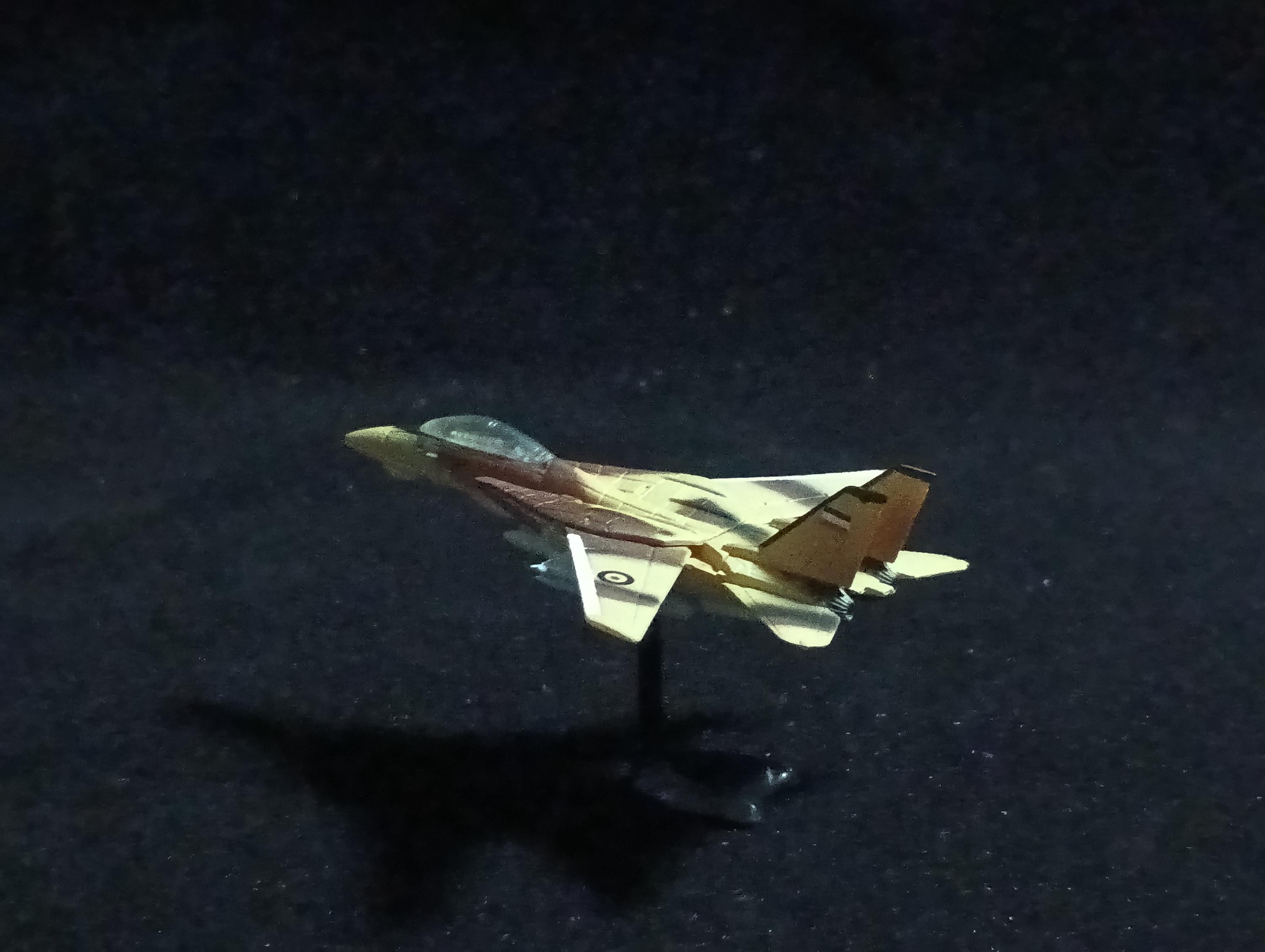Grumman F-14 Tomcat - Furuta Fighter Aircraft Vol.4 No.75-c