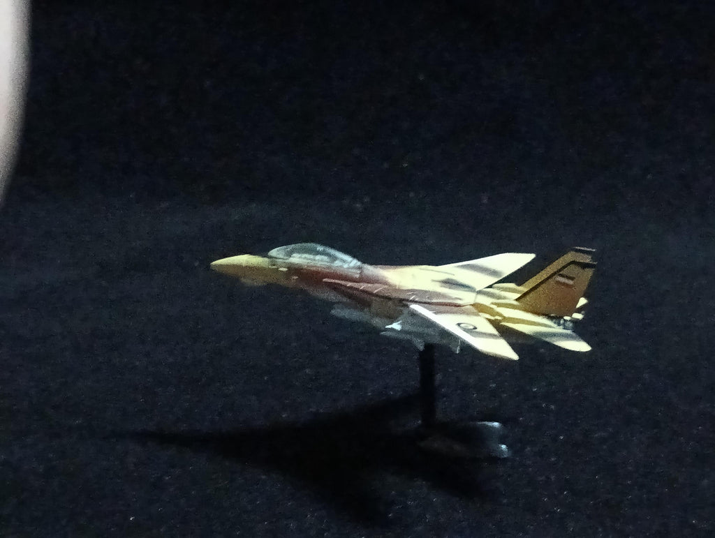 Grumman F-14 Tomcat - Furuta Fighter Aircraft Vol.4 No.75-c